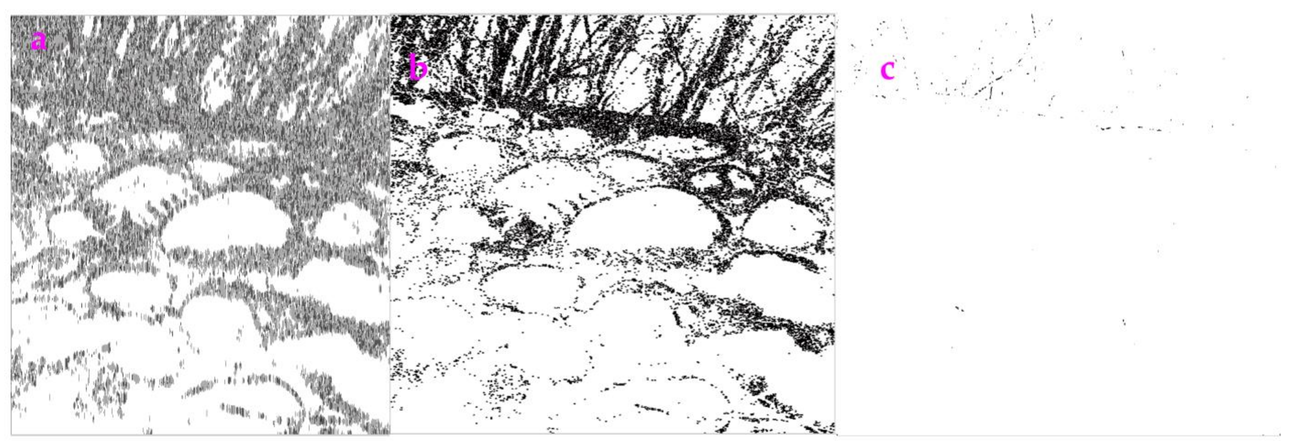 Sensors 23 06207 g008