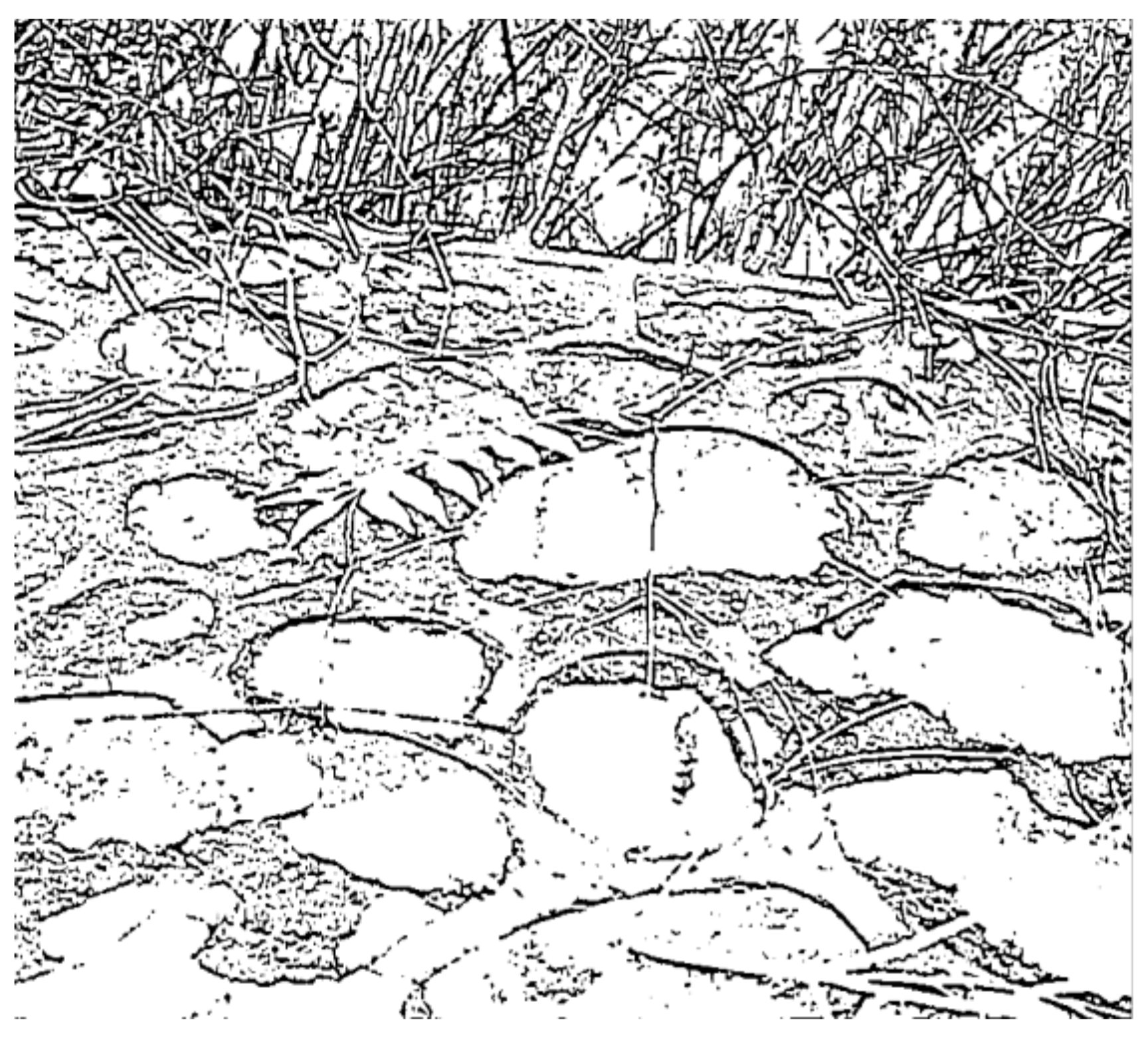 Sensors 23 06207 g009