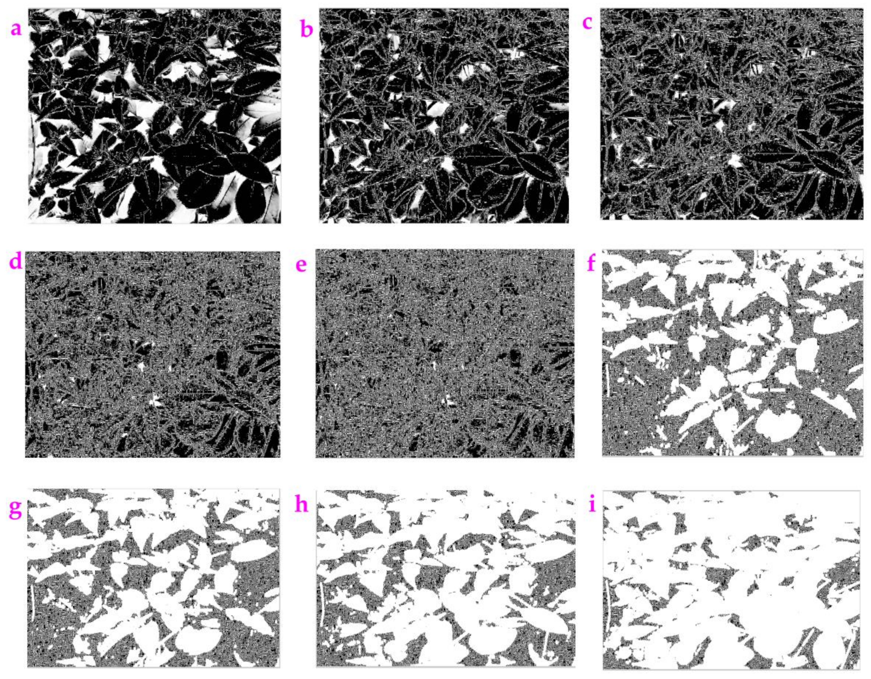 Sensors 23 06207 g012