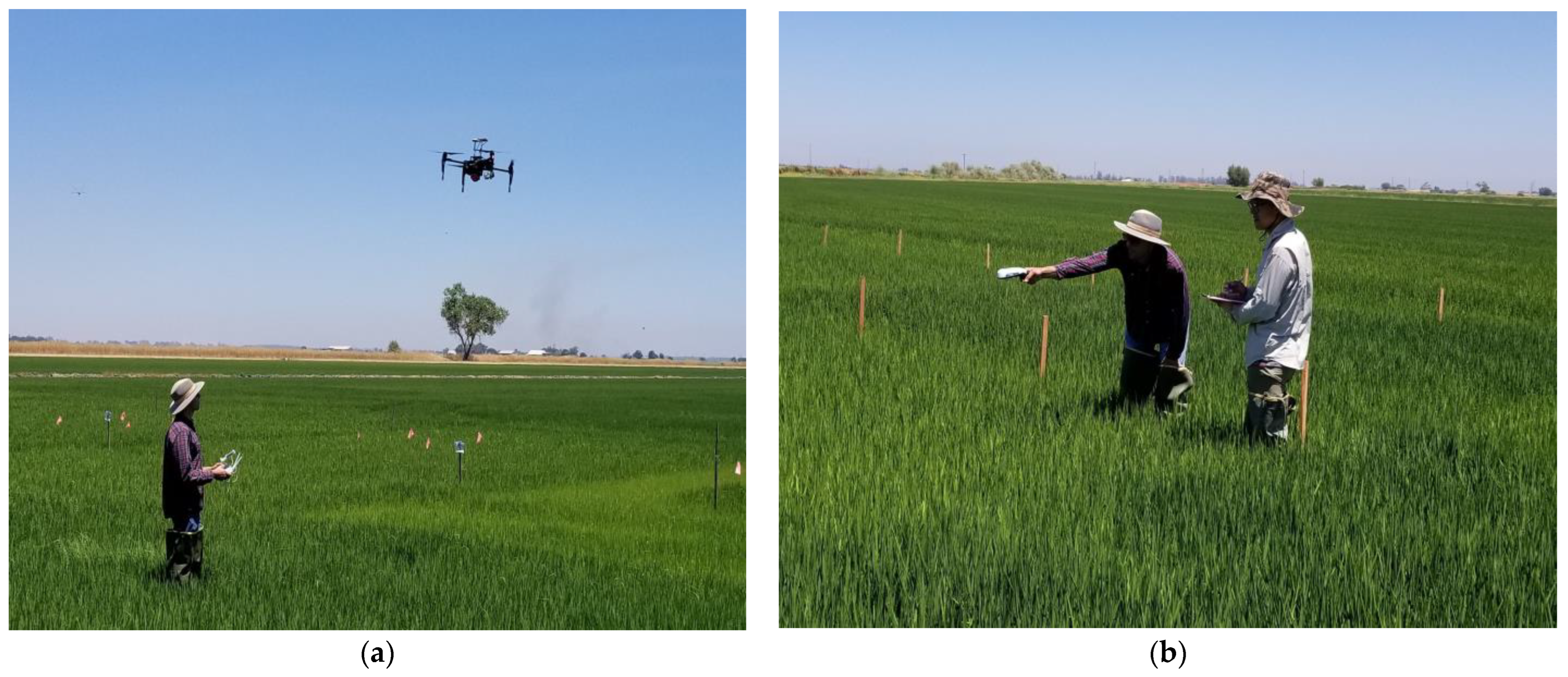 Sensors 23 06218 g001 Sensors 23 06218 g001