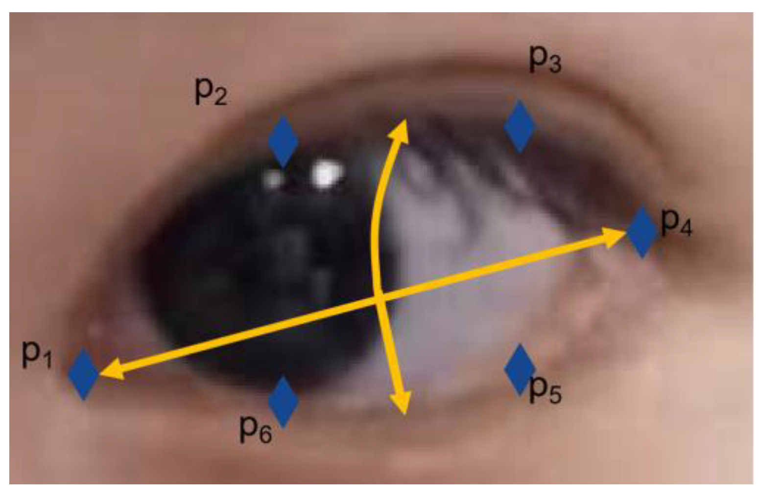 Sensors 23 06239 g018 550