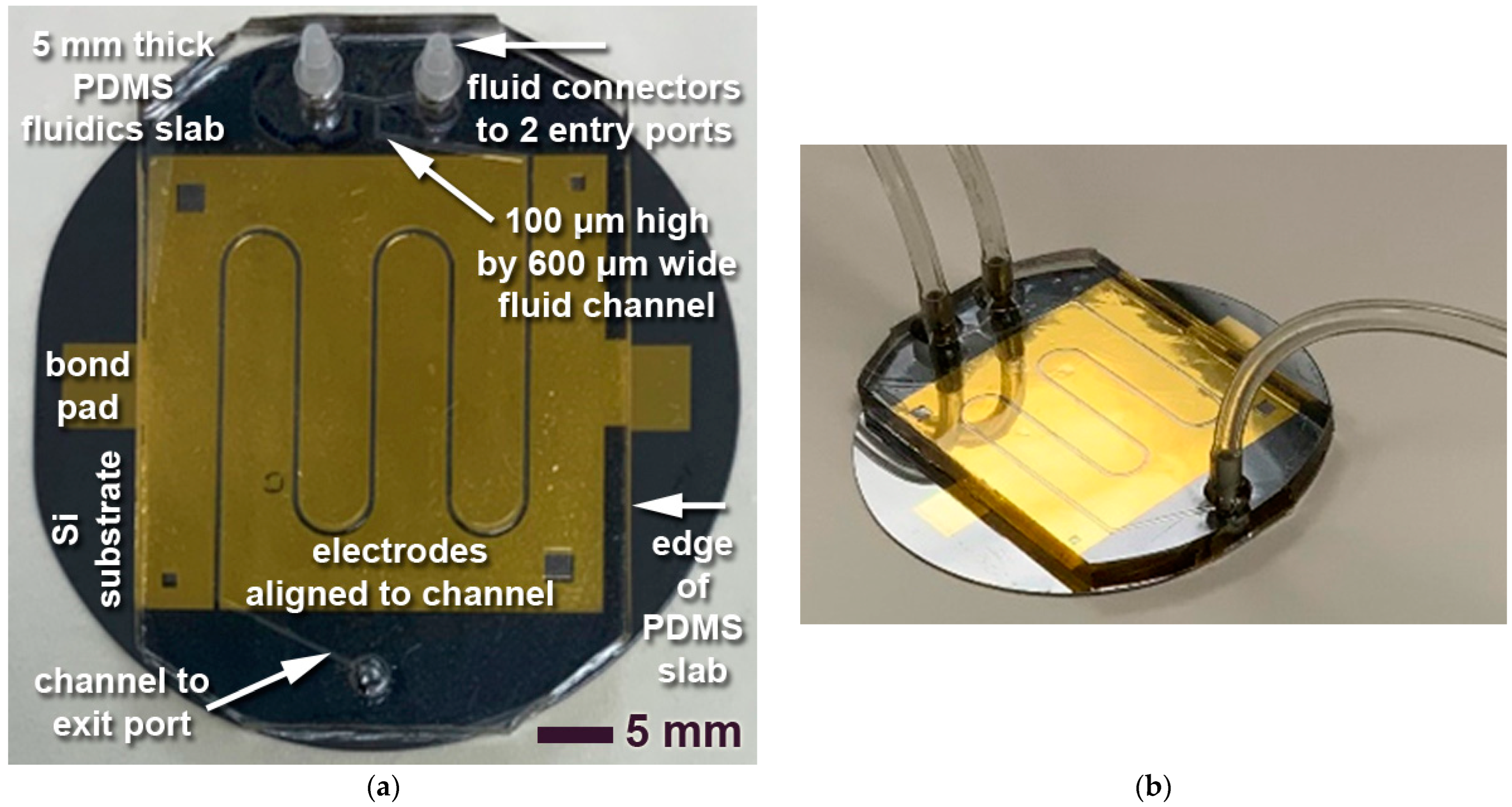 Sensors 23 06251 g005