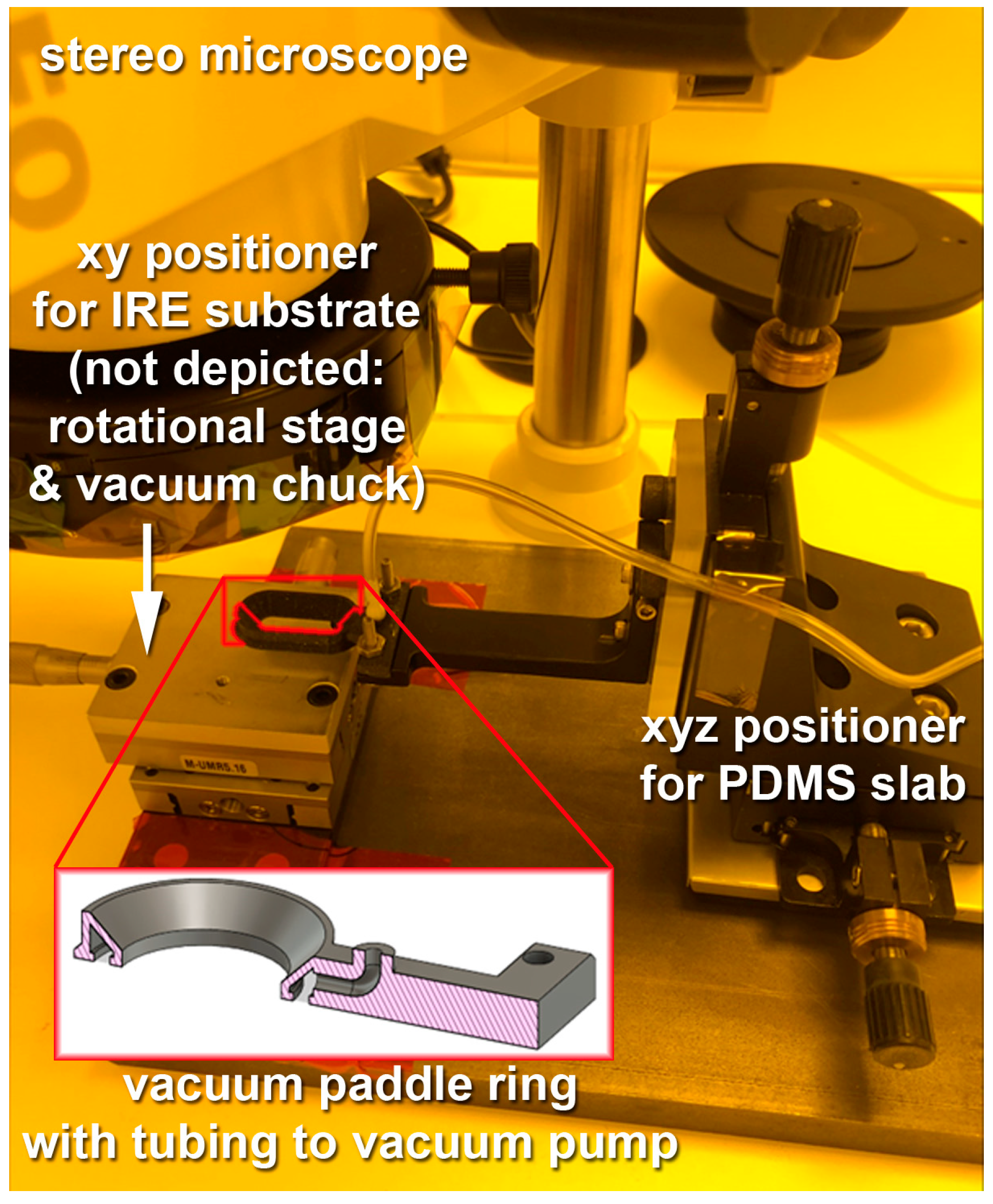 Sensors 23 06251 g006