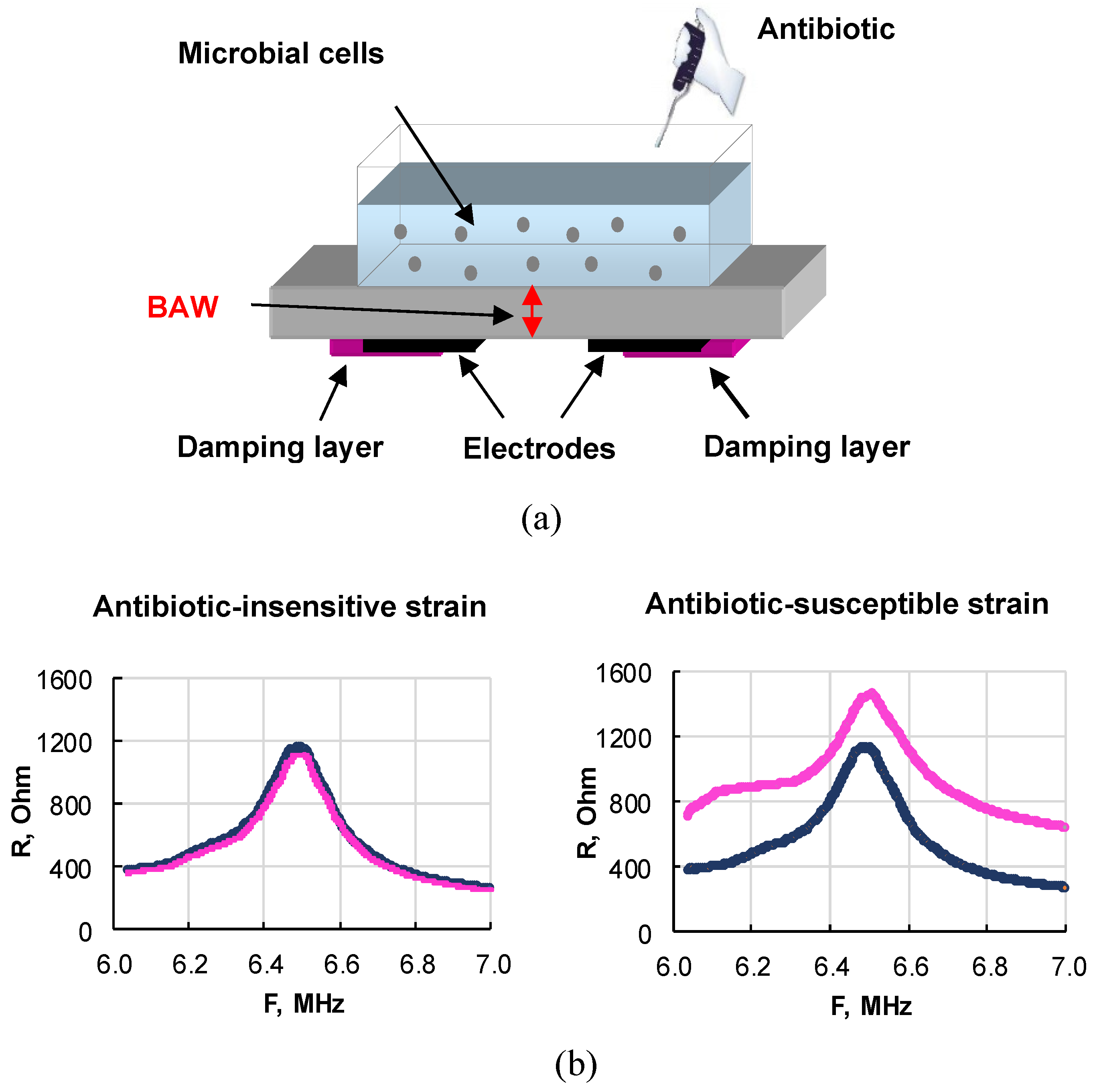 Sensors 23 06292 g008 Sensors 23 06292 g008
