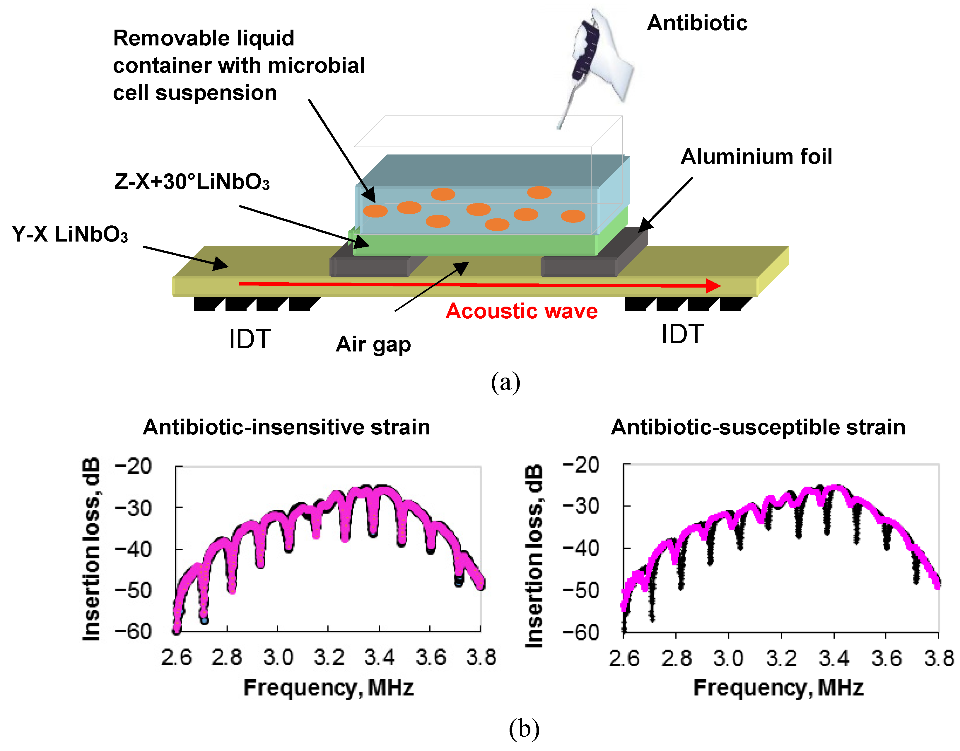Sensors 23 06292 g010 Sensors 23 06292 g010