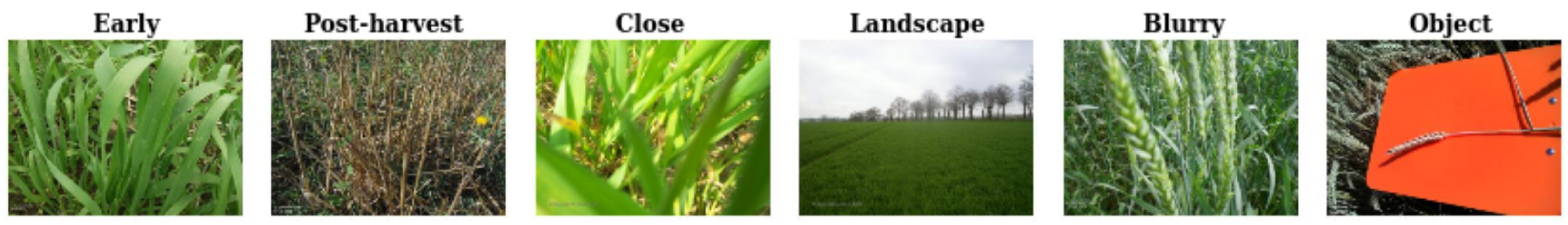 Sensors 23 06298 g003 Sensors 23 06298 g003