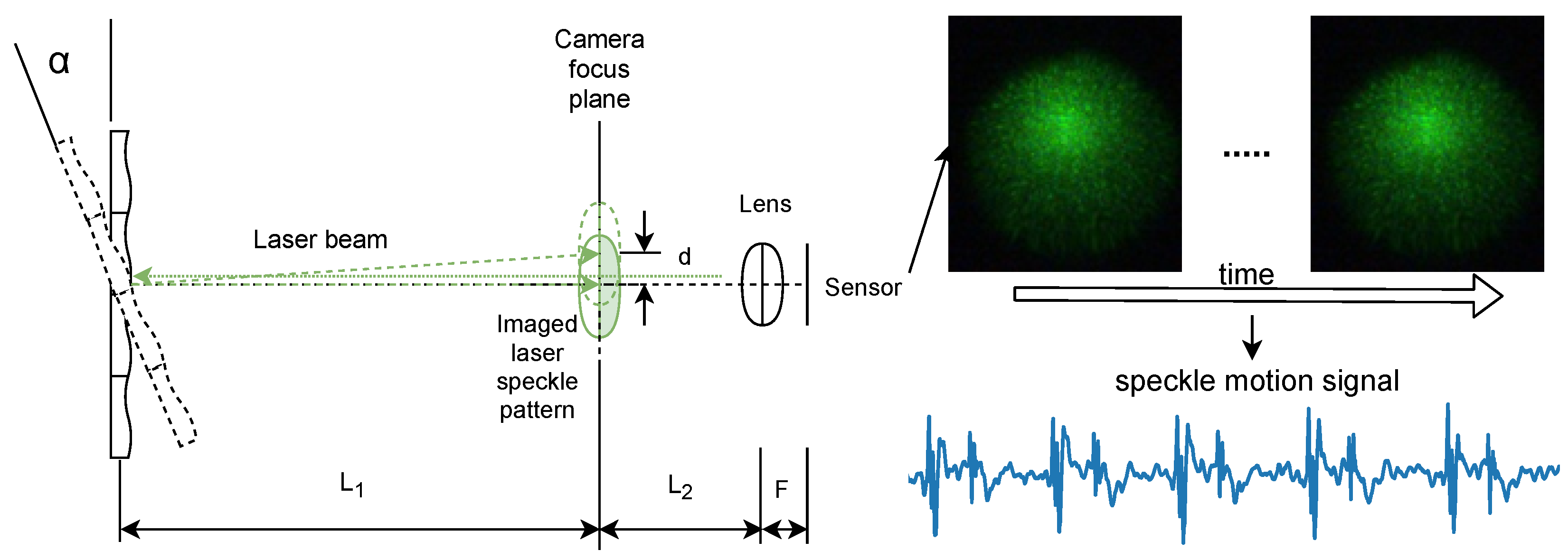 Sensors 23 06312 g001