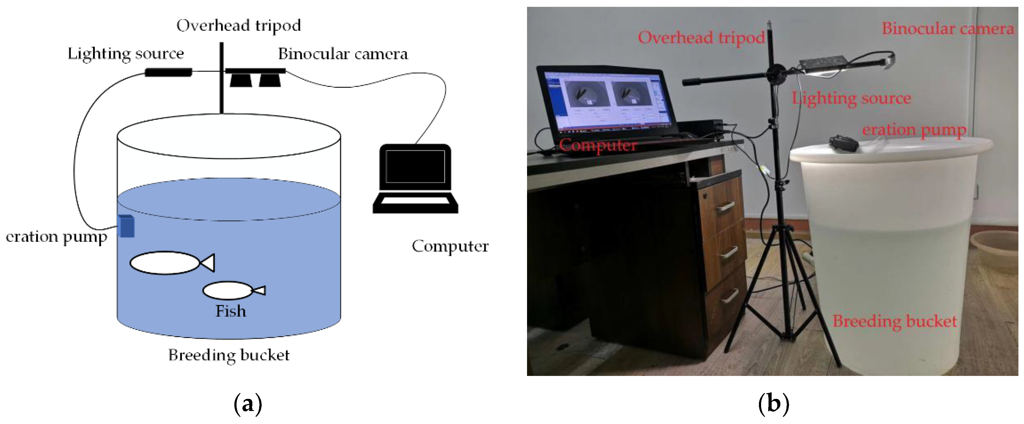 Sensors 23 06325 g002