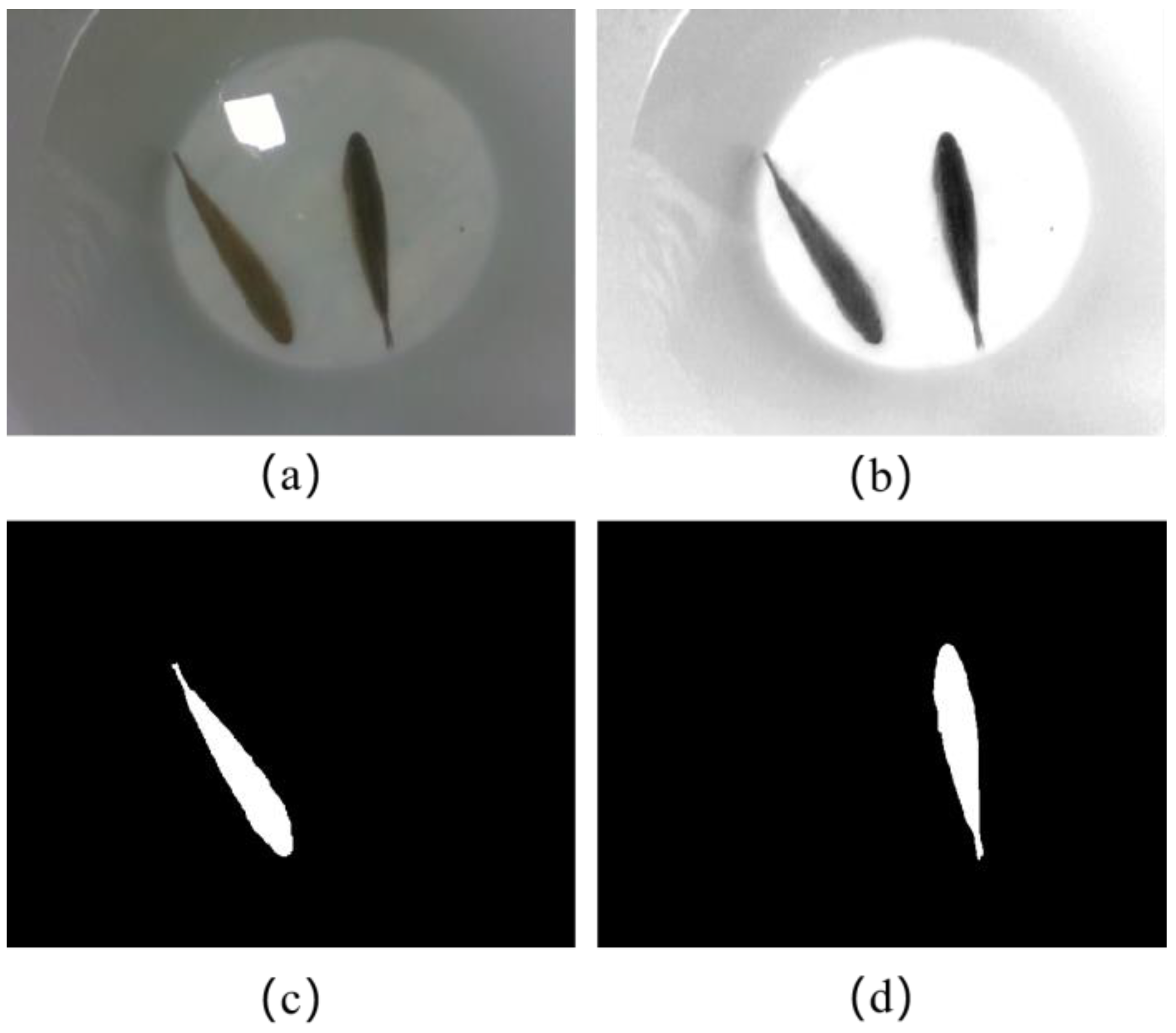 Sensors 23 06325 g003