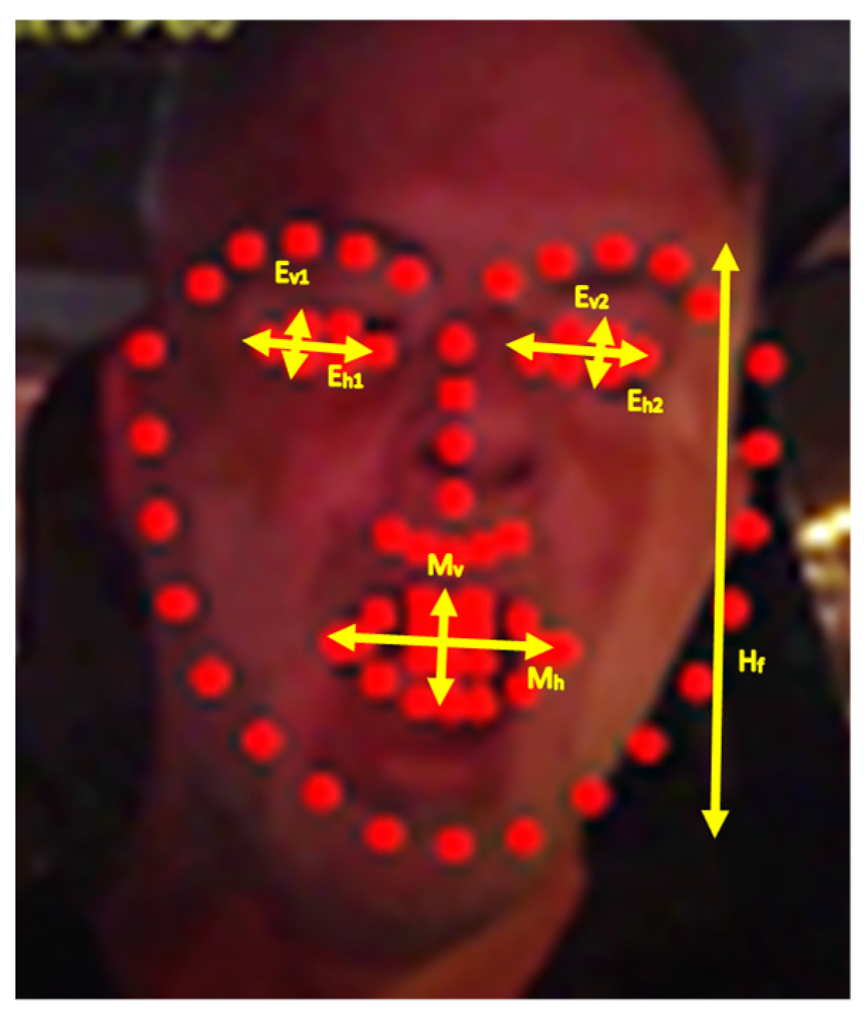 Sensors 23 06344 g001