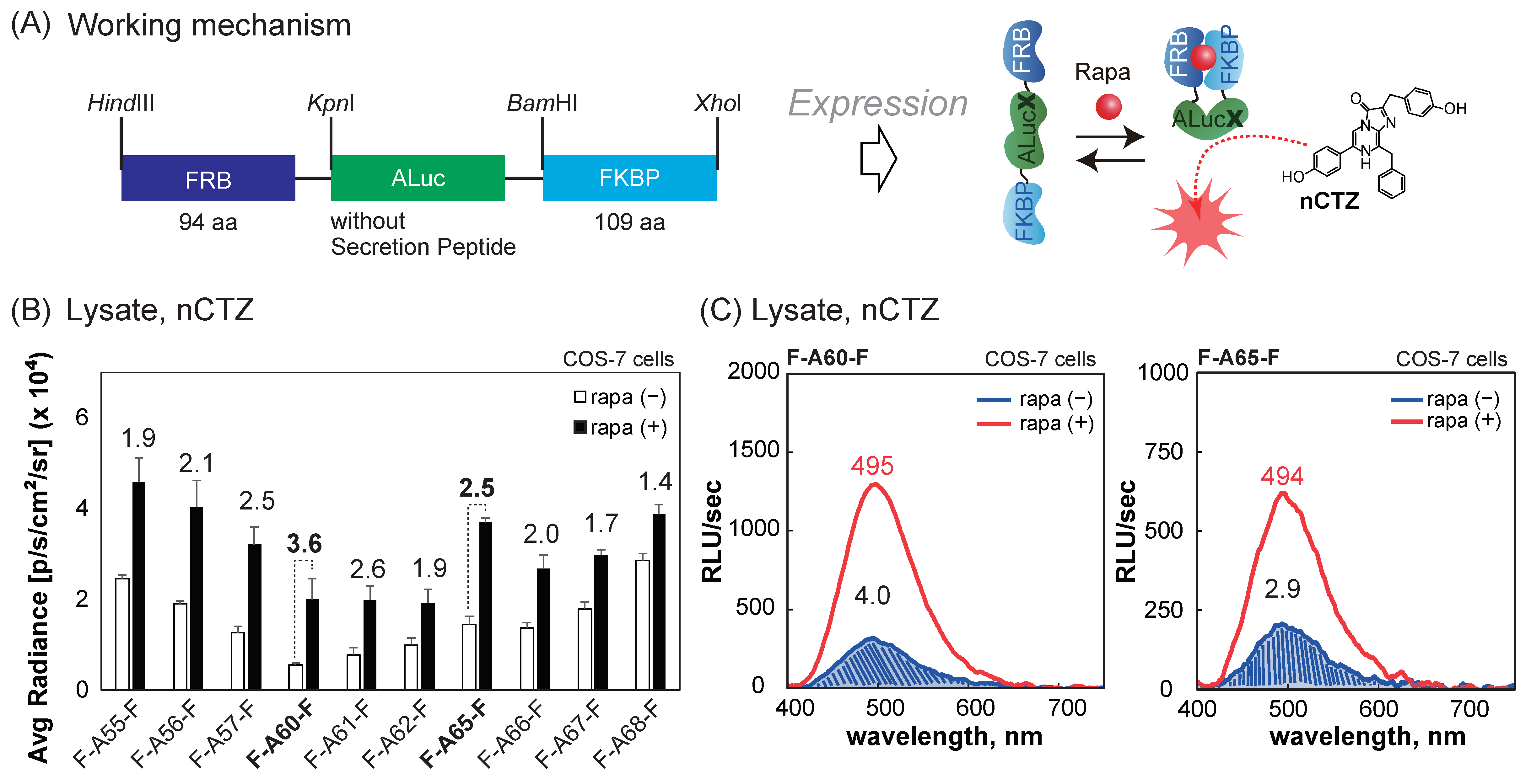 Sensors 23 06376 g004