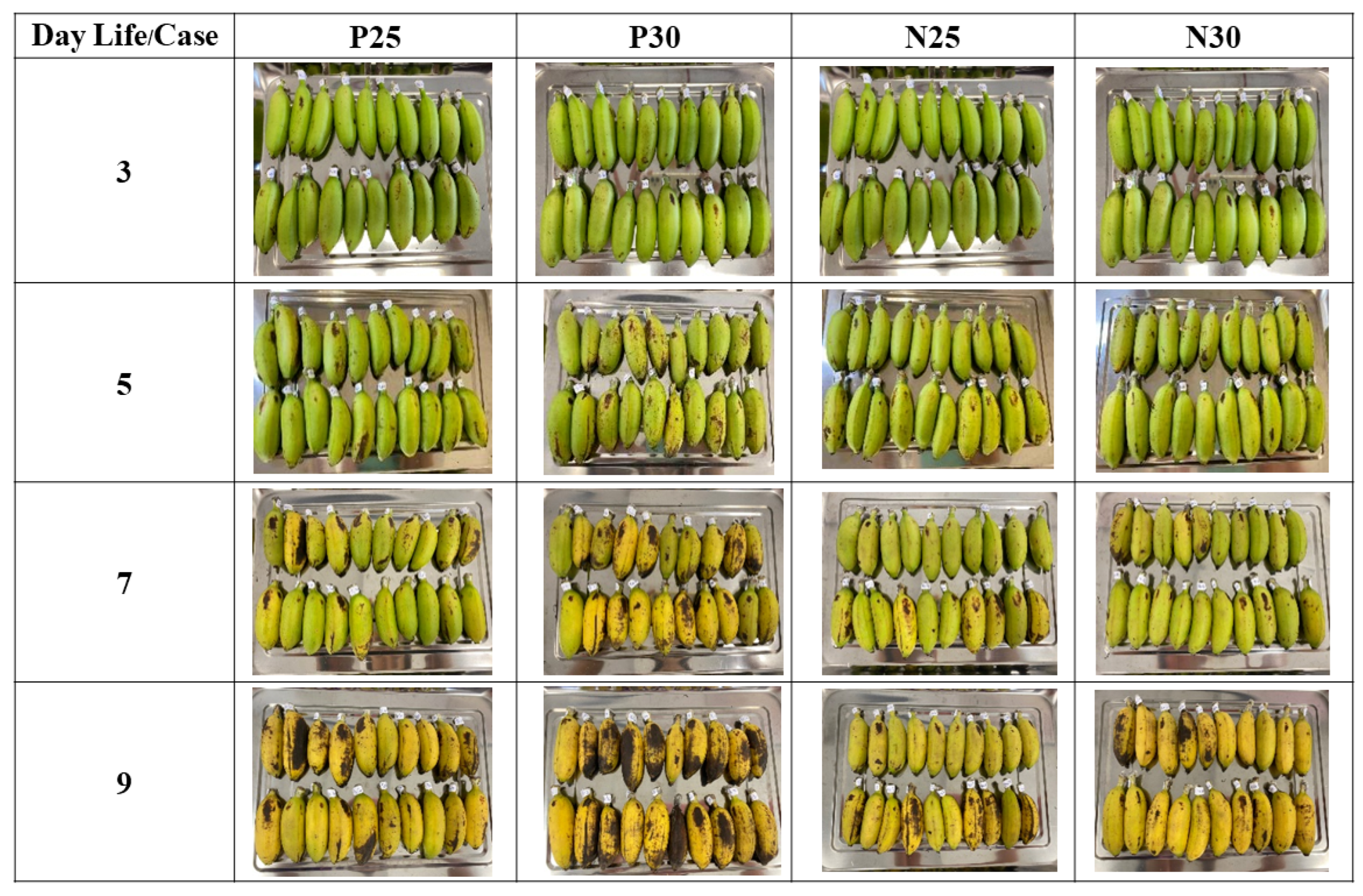 Sensors 23 06387 g003