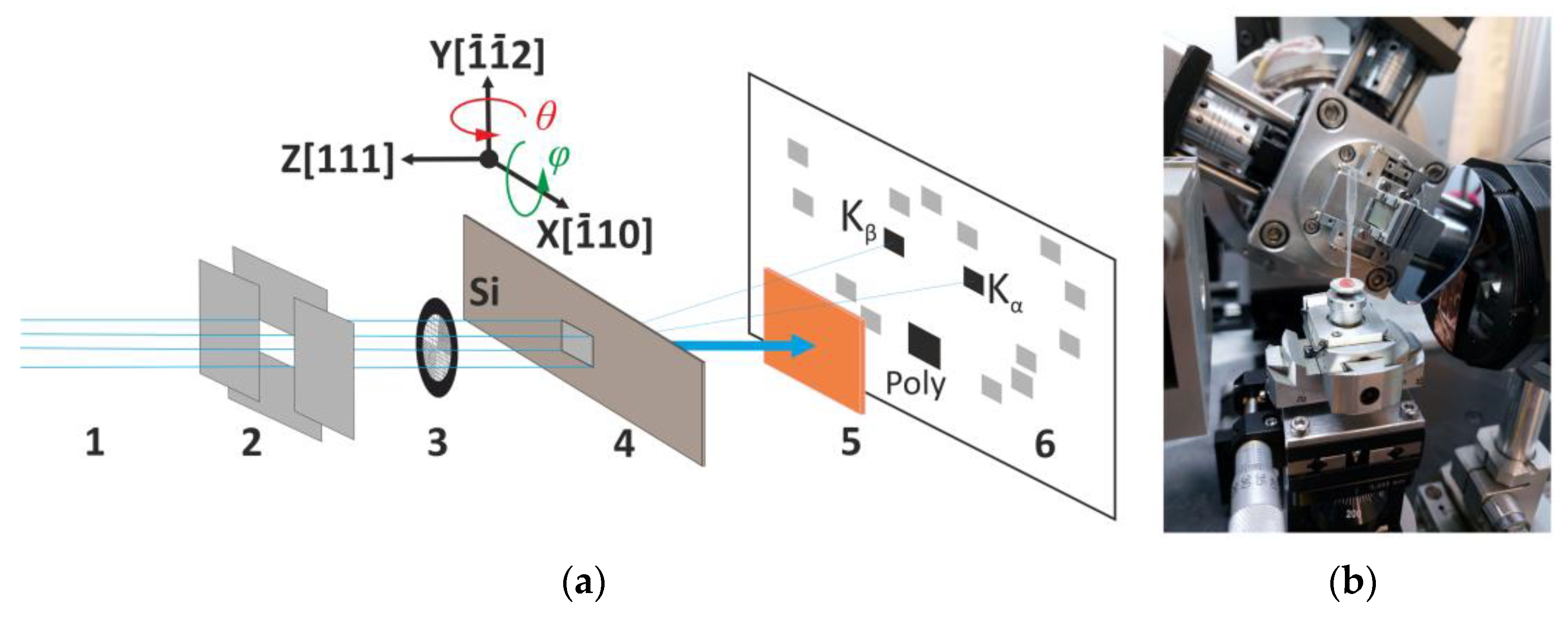 Sensors 23 06389 g001