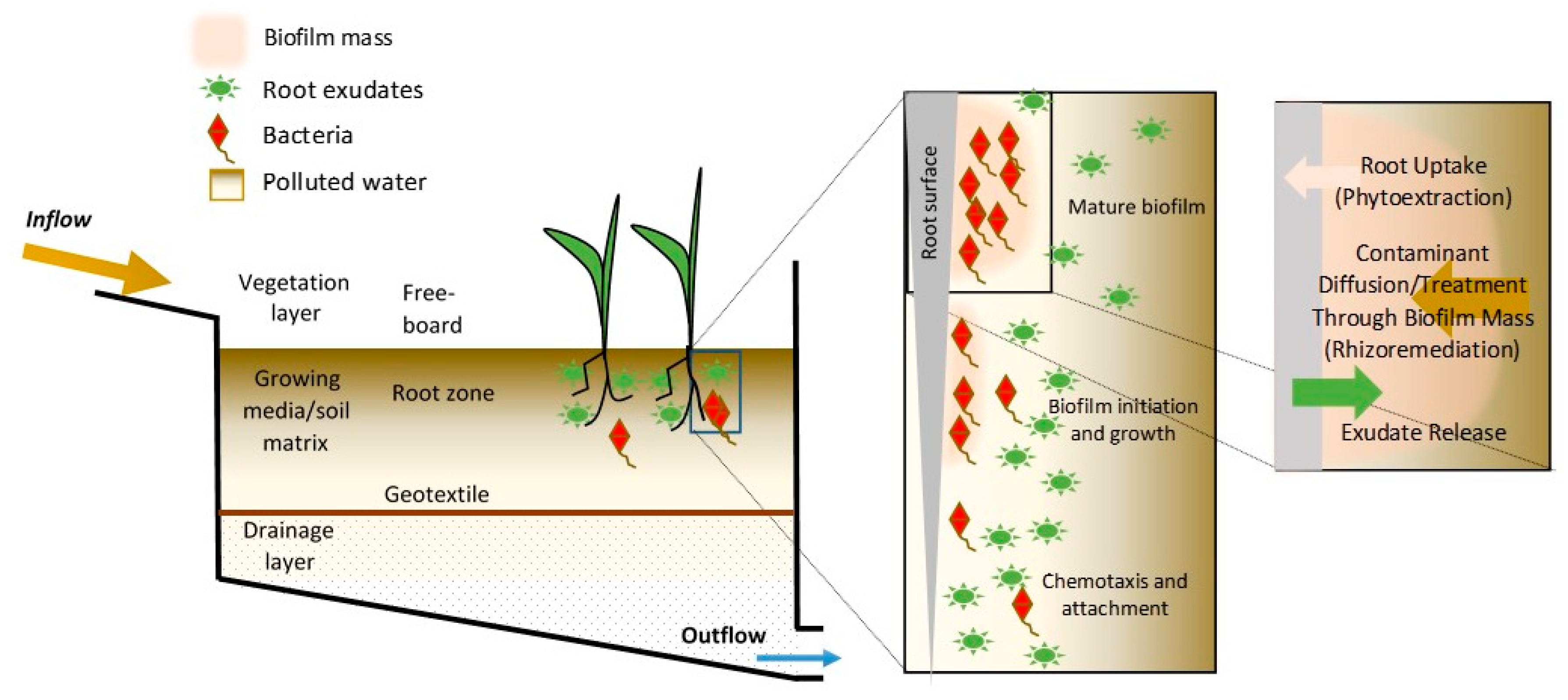 Sensors 23 06404 g001