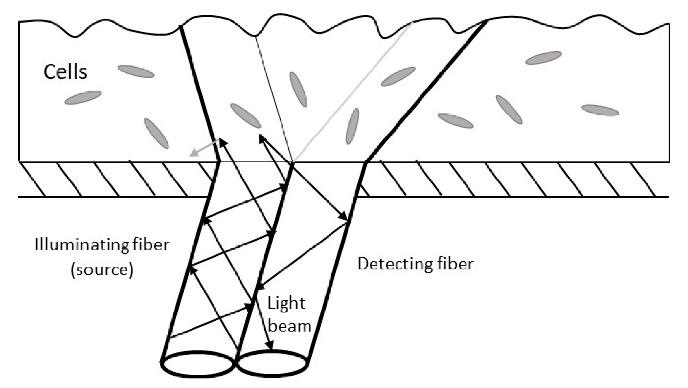Sensors 23 06404 g003