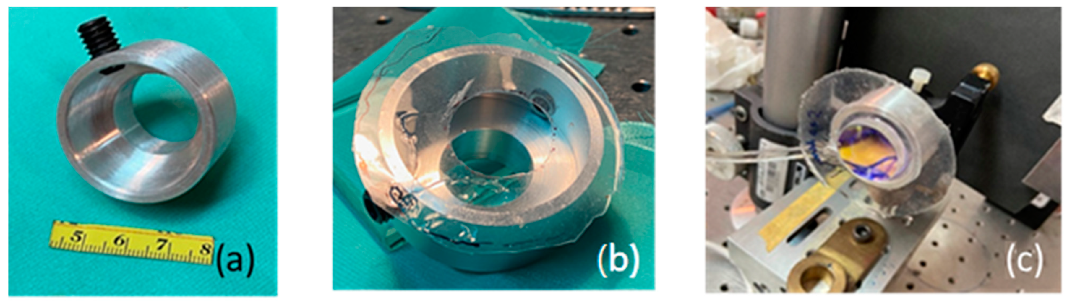 Sensors 23 06493 g006