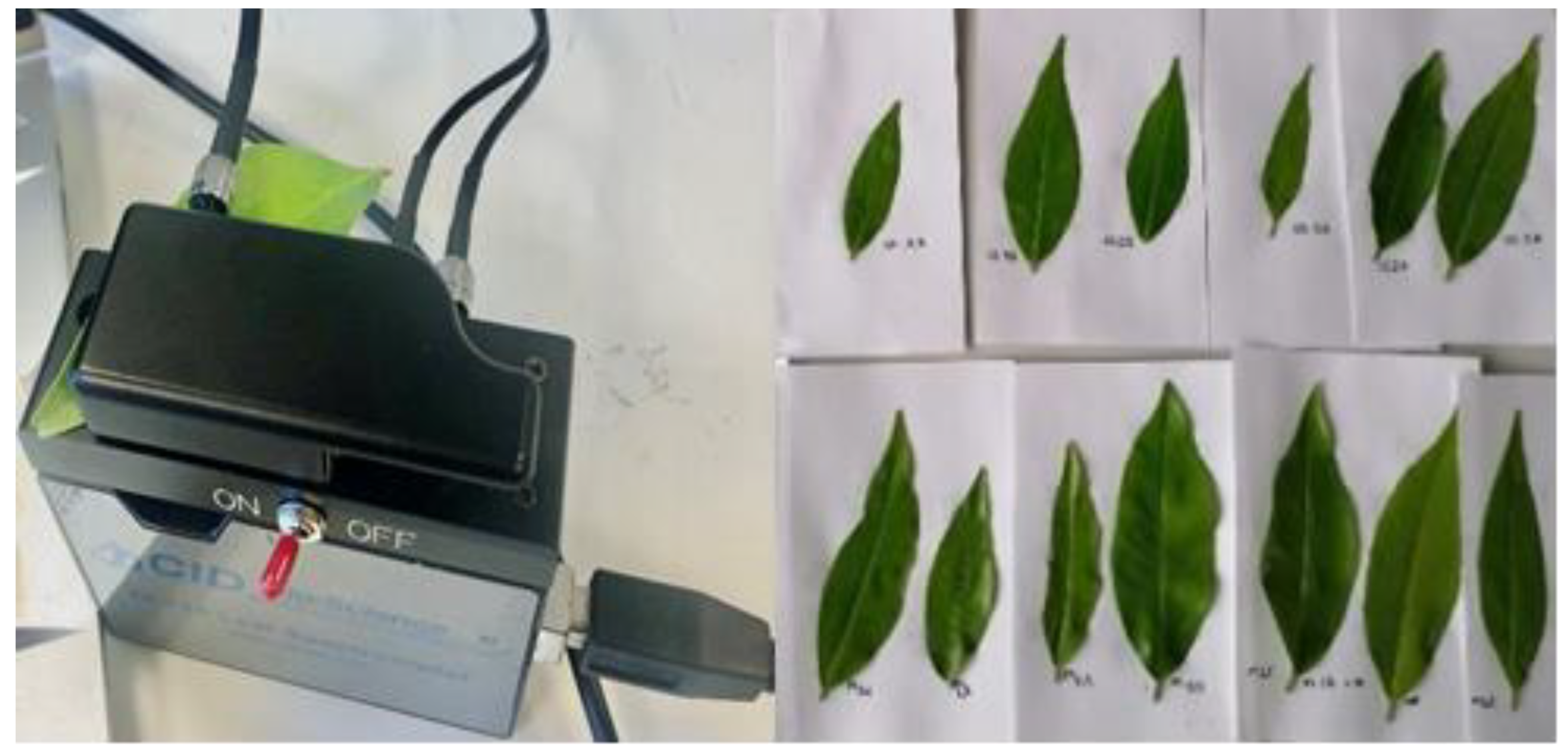 Sensors 23 06530 g001 Sensors 23 06530 g001