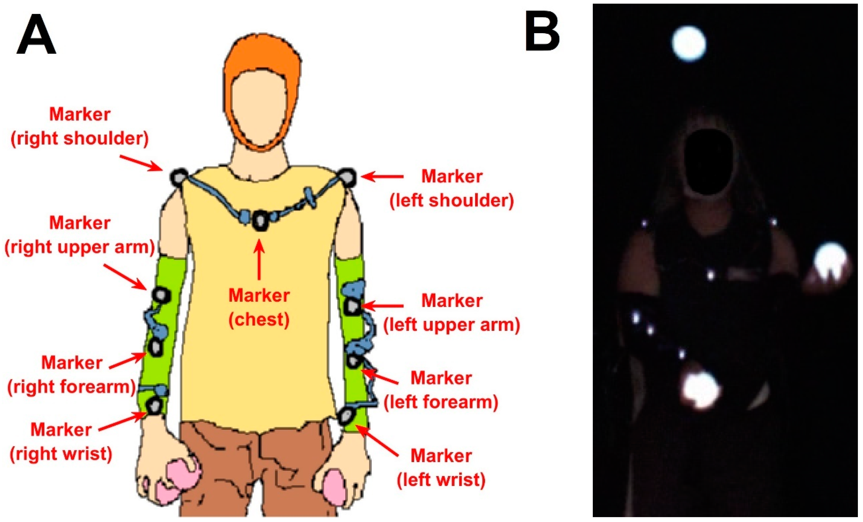 Sensors 23 06542 g001