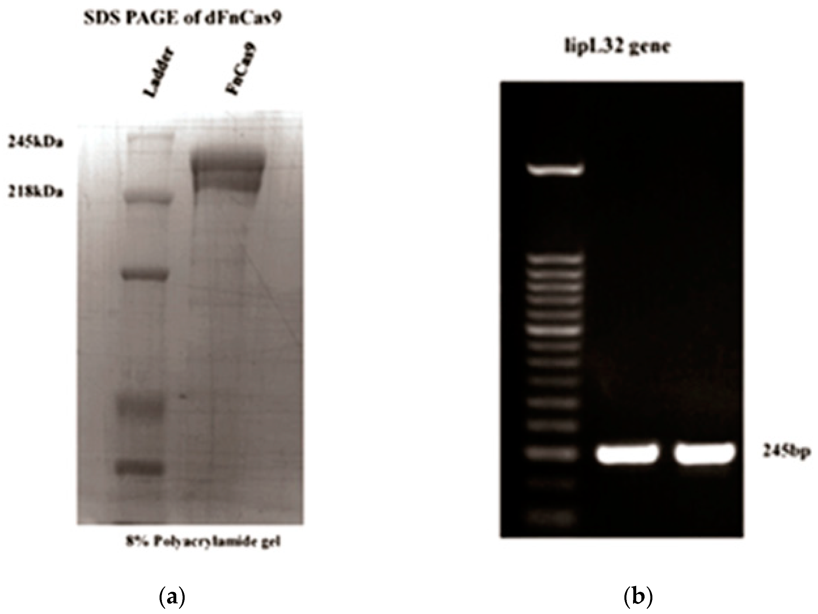 Sensors 23 06544 g002 Sensors 23 06544 g002