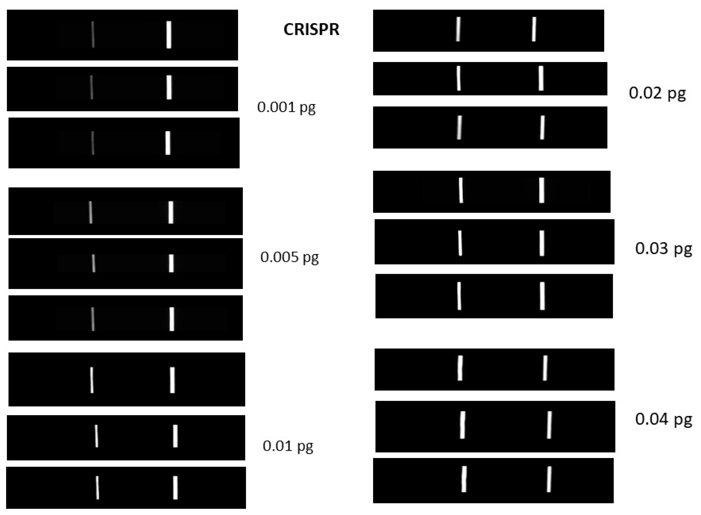Sensors 23 06544 g003 Sensors 23 06544 g003