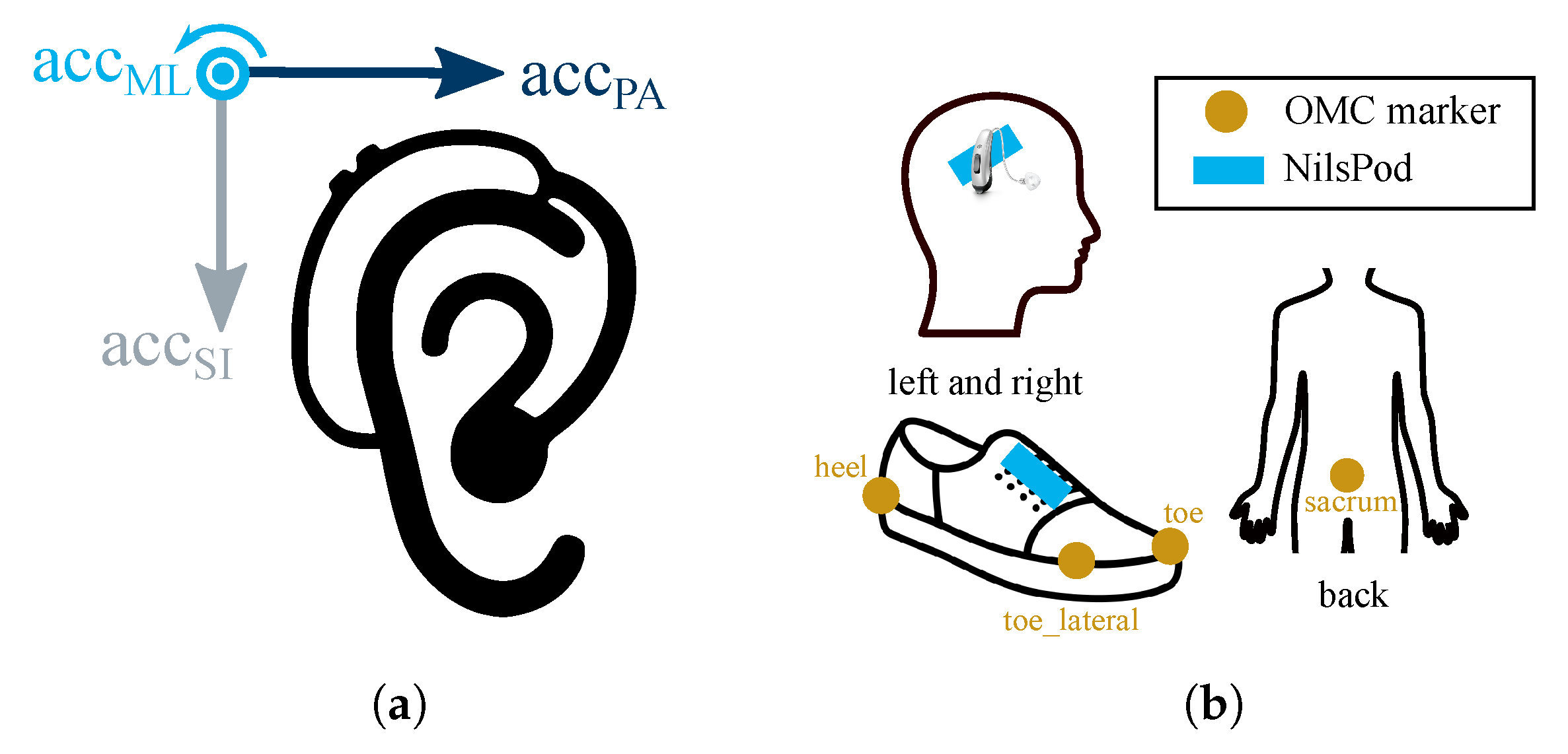 Sensors 23 06565 g002