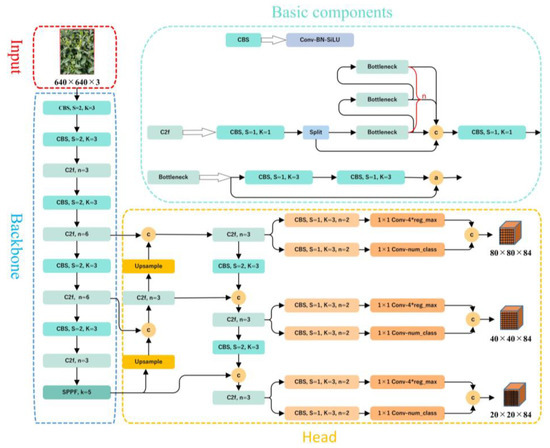 Tea-YOLOv8s: A Tea Bud Detection Model Based on Deep Learning and ...