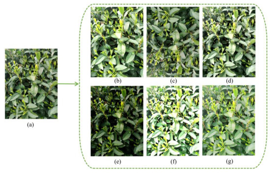 Tea-YOLOv8s: A Tea Bud Detection Model Based on Deep Learning and ...