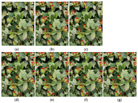 Tea-YOLOv8s: A Tea Bud Detection Model Based on Deep Learning and ...