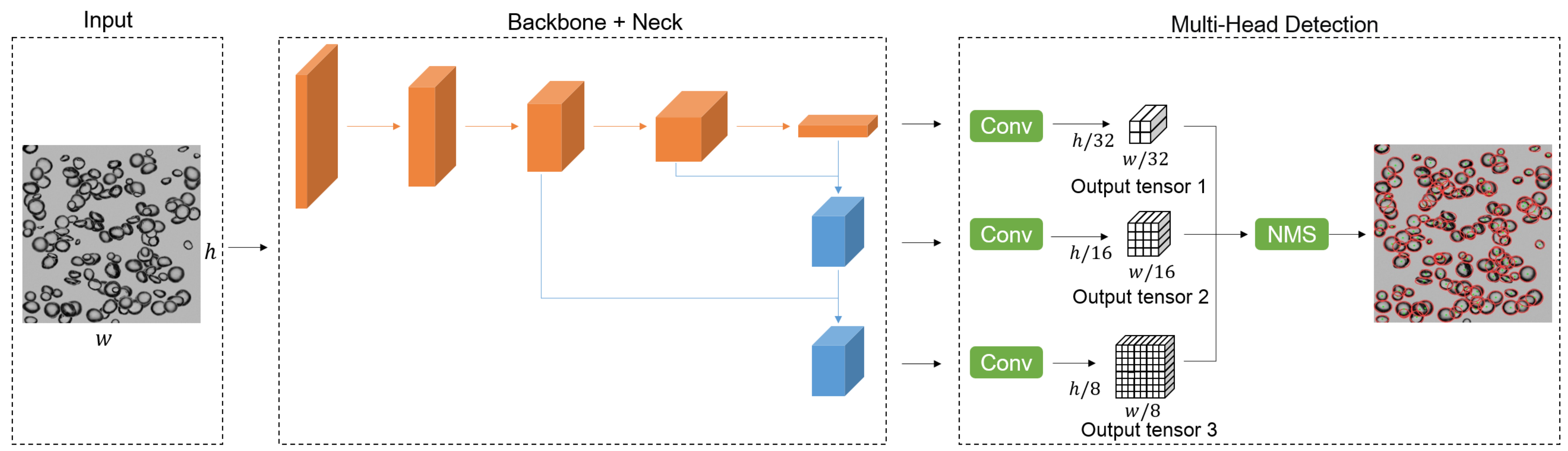 Sensors 23 06582 g002 Sensors 23 06582 g002