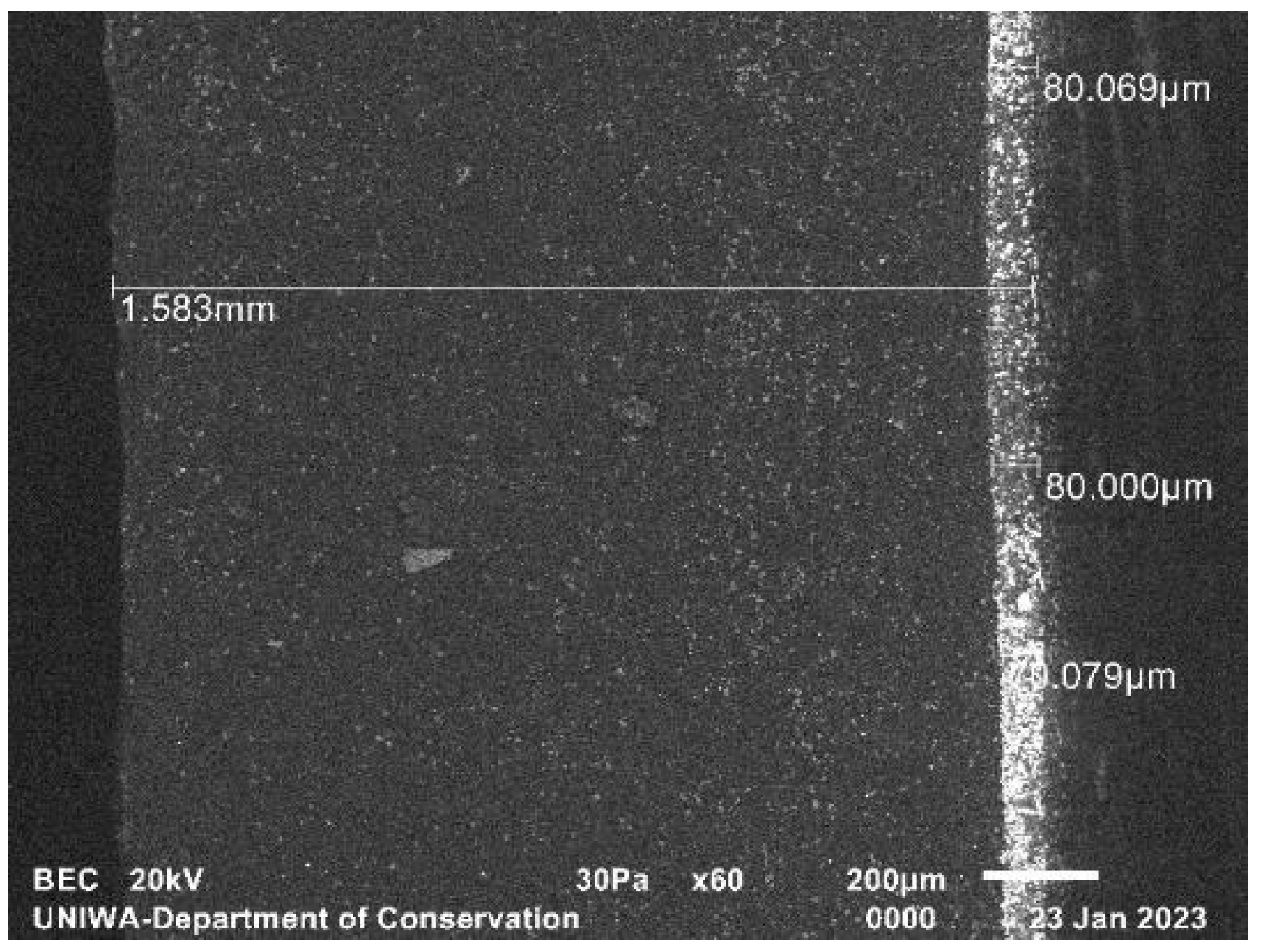 Sensors 23 06588 g004