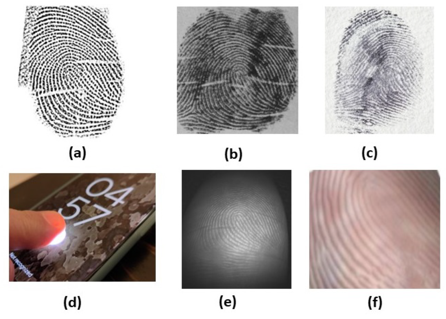 Fingerprint Systems: Sensors