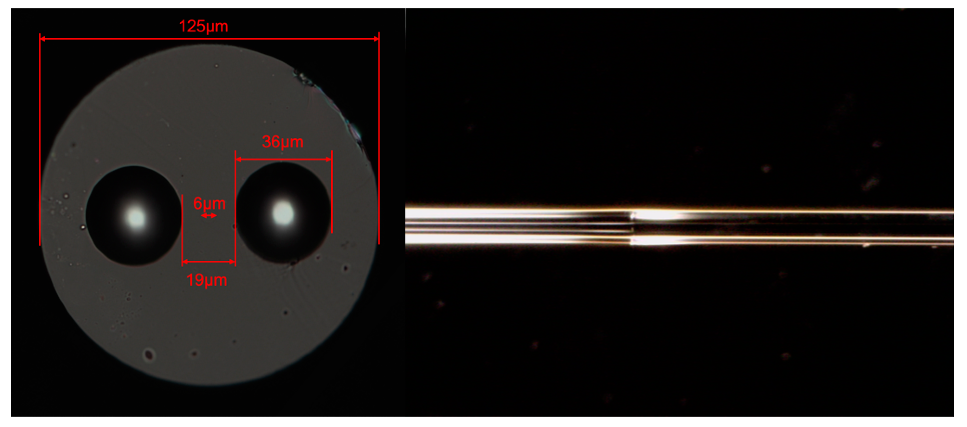 Sensors 23 06632 g001 Sensors 23 06632 g001