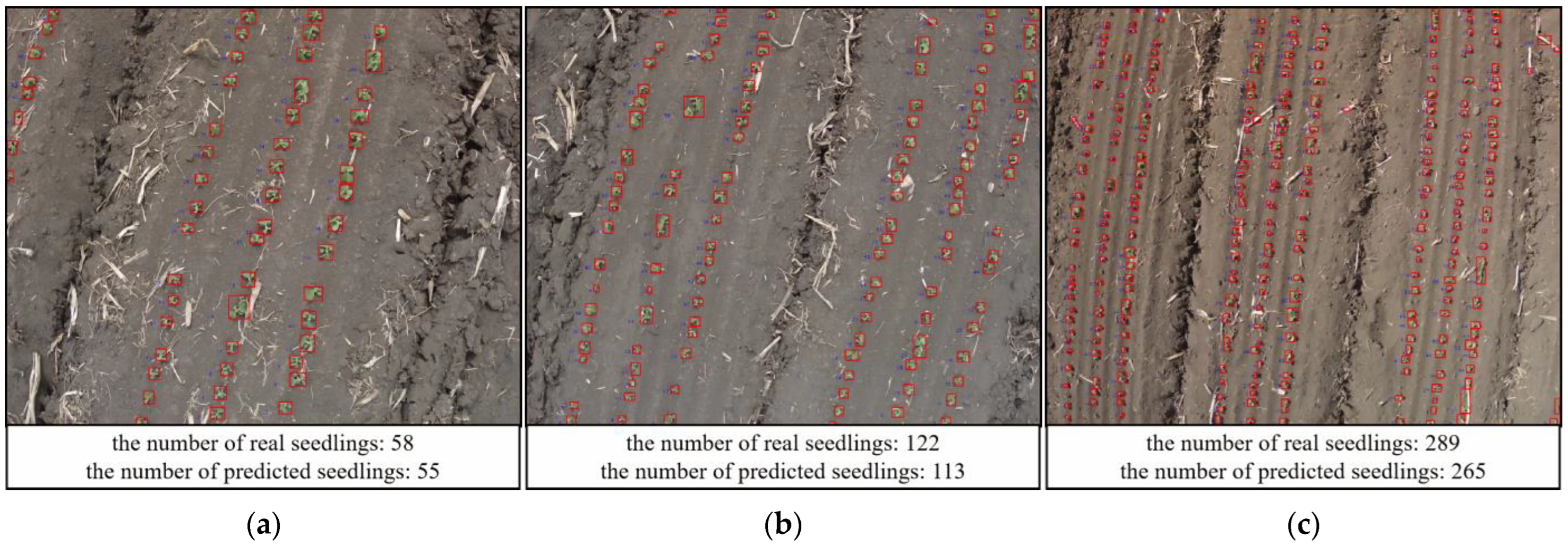 Sensors 23 06662 g006