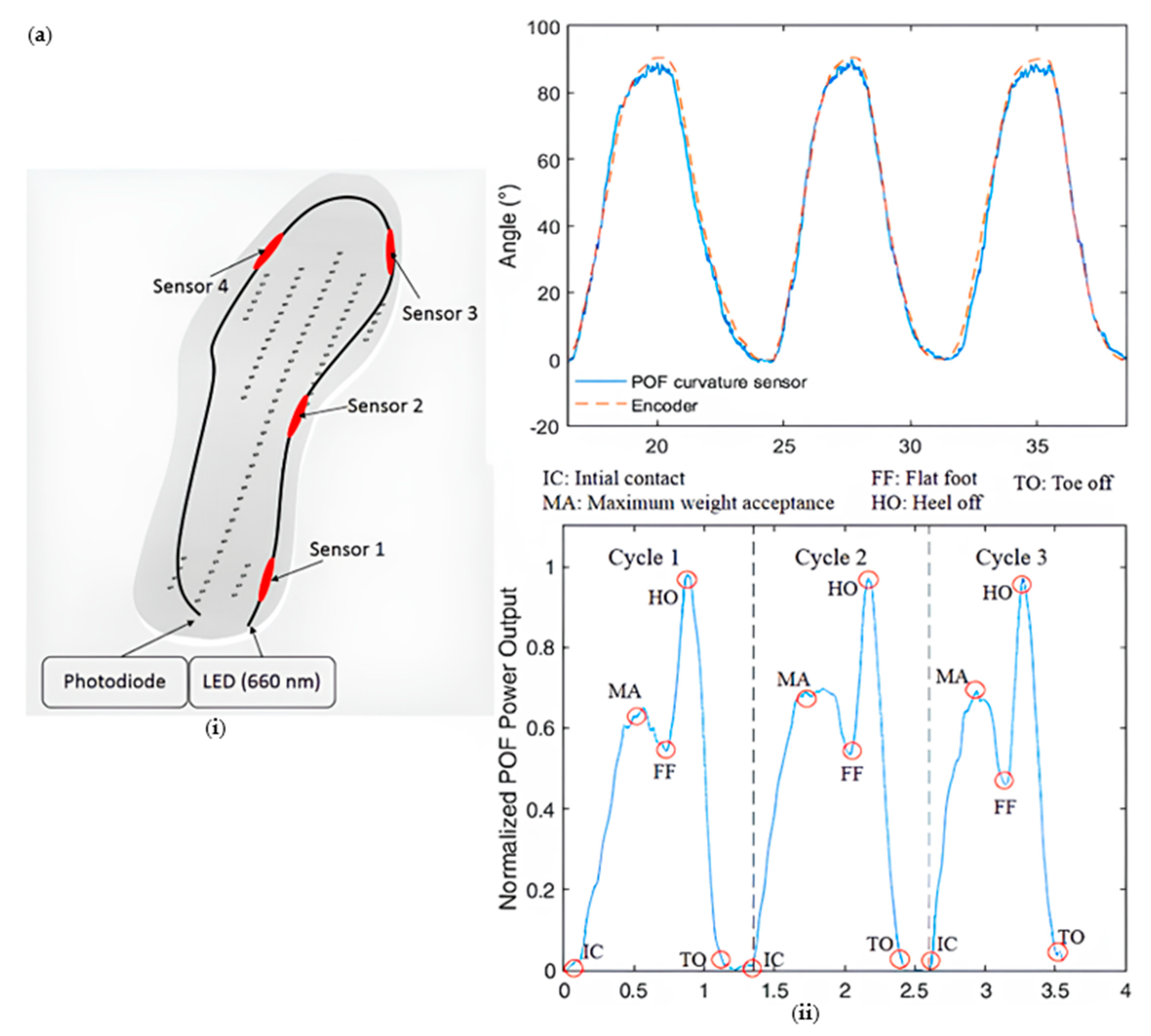 Sensors 23 06671 g011a