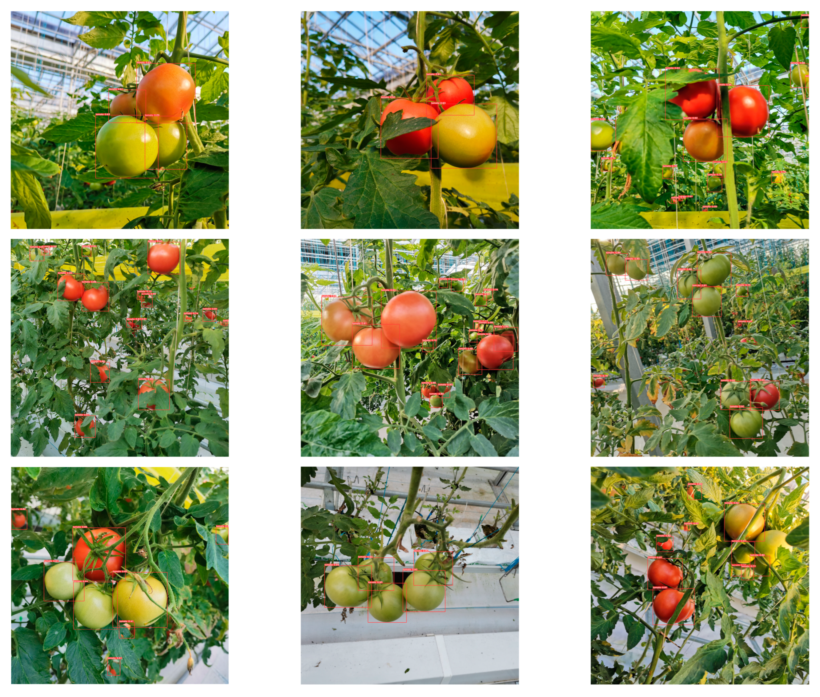 Sensors 23 06701 g011 Sensors 23 06701 g011