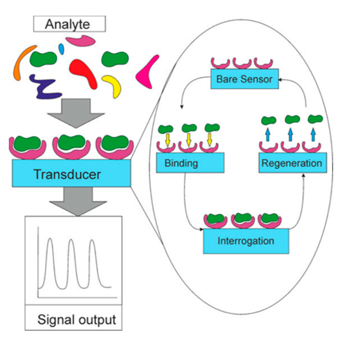 Sensors 23 06705 g014 Sensors 23 06705 g014