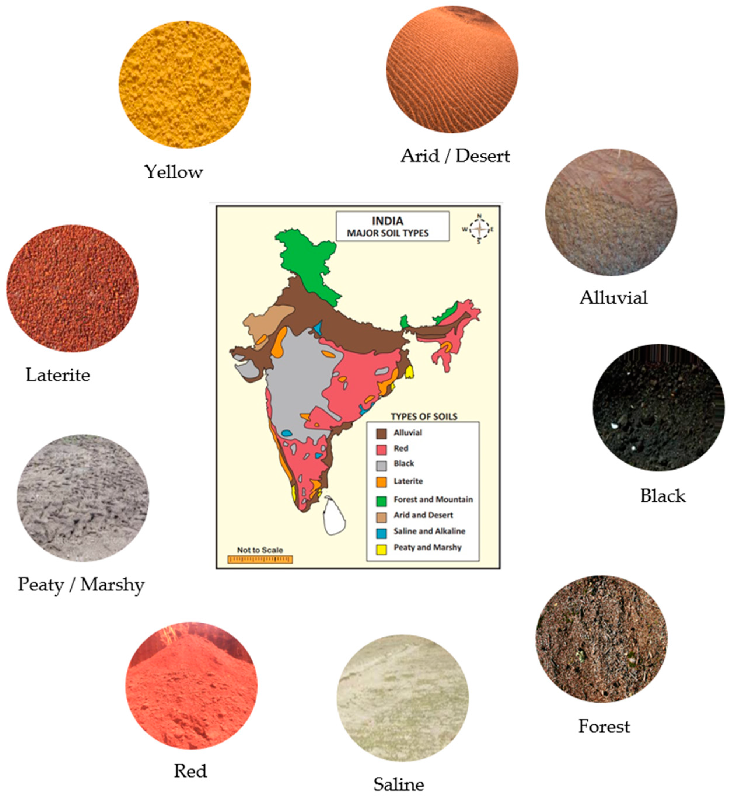 Sensors 23 06709 g004