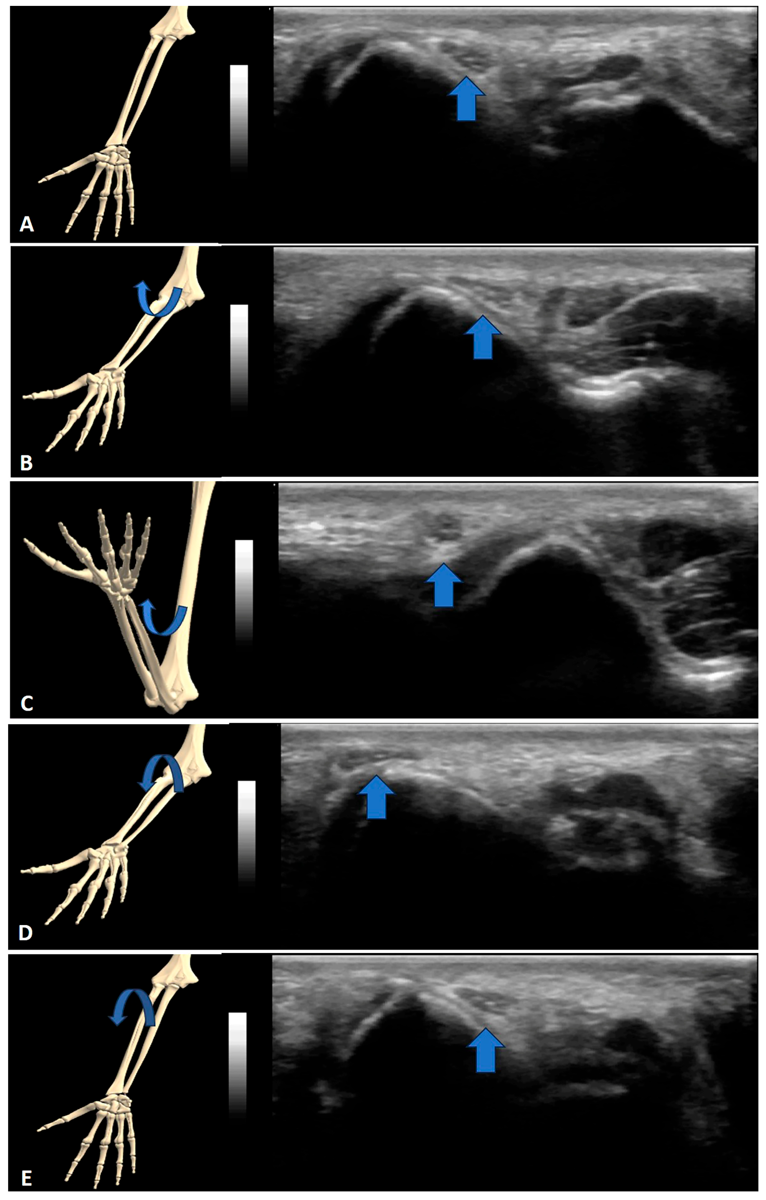 Sensors 23 06732 g002 Sensors 23 06732 g002