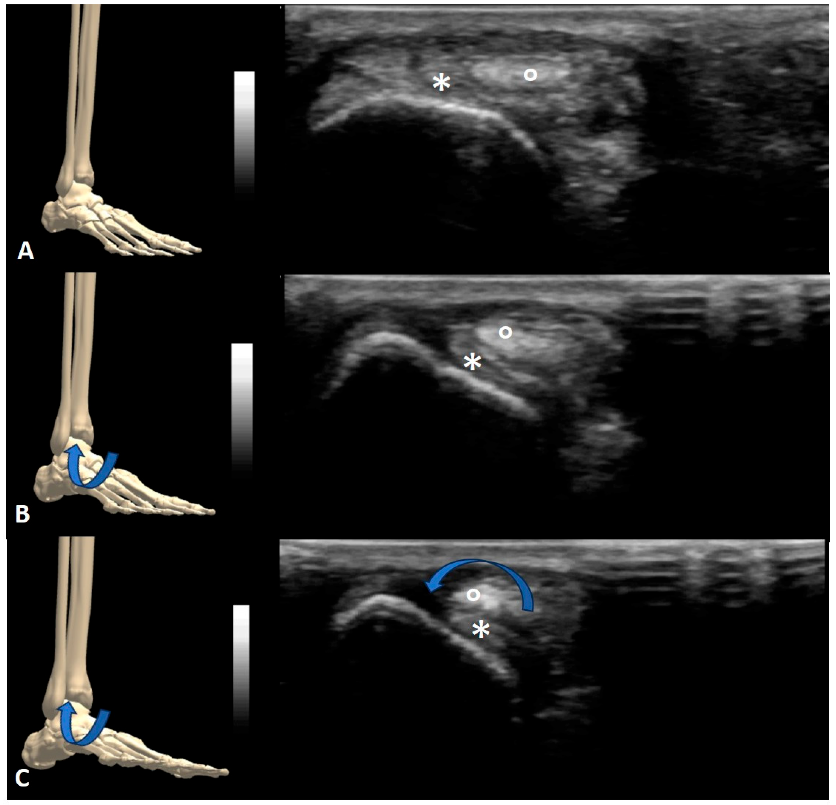 Sensors 23 06732 g003 Sensors 23 06732 g003