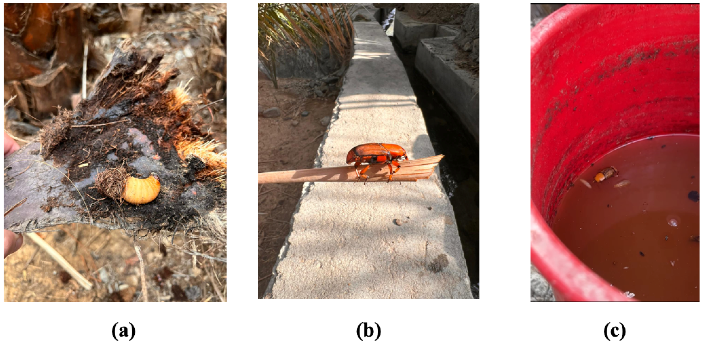 Sensors 23 06798 g001 Sensors 23 06798 g001