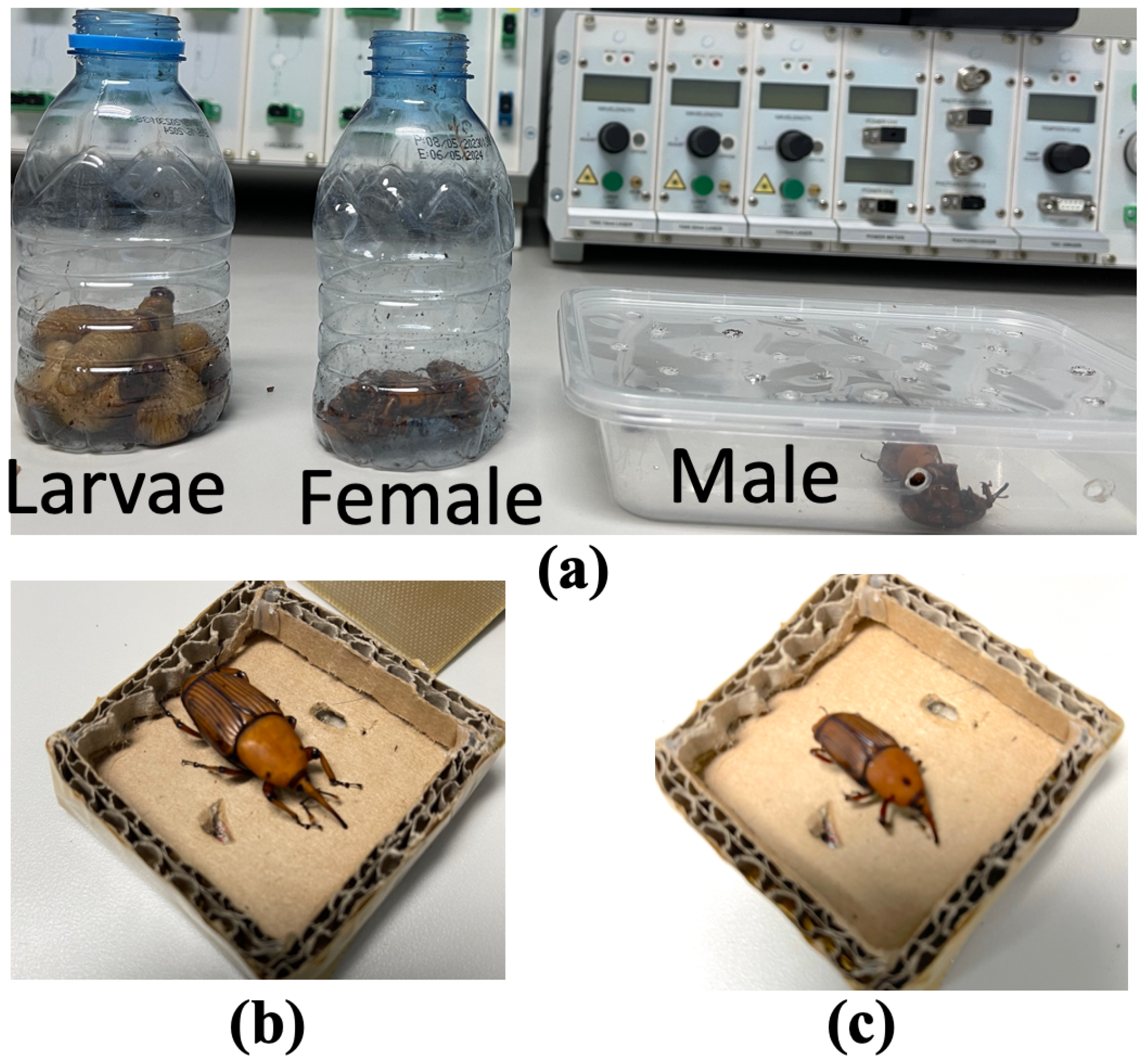 Sensors 23 06798 g010 Sensors 23 06798 g010