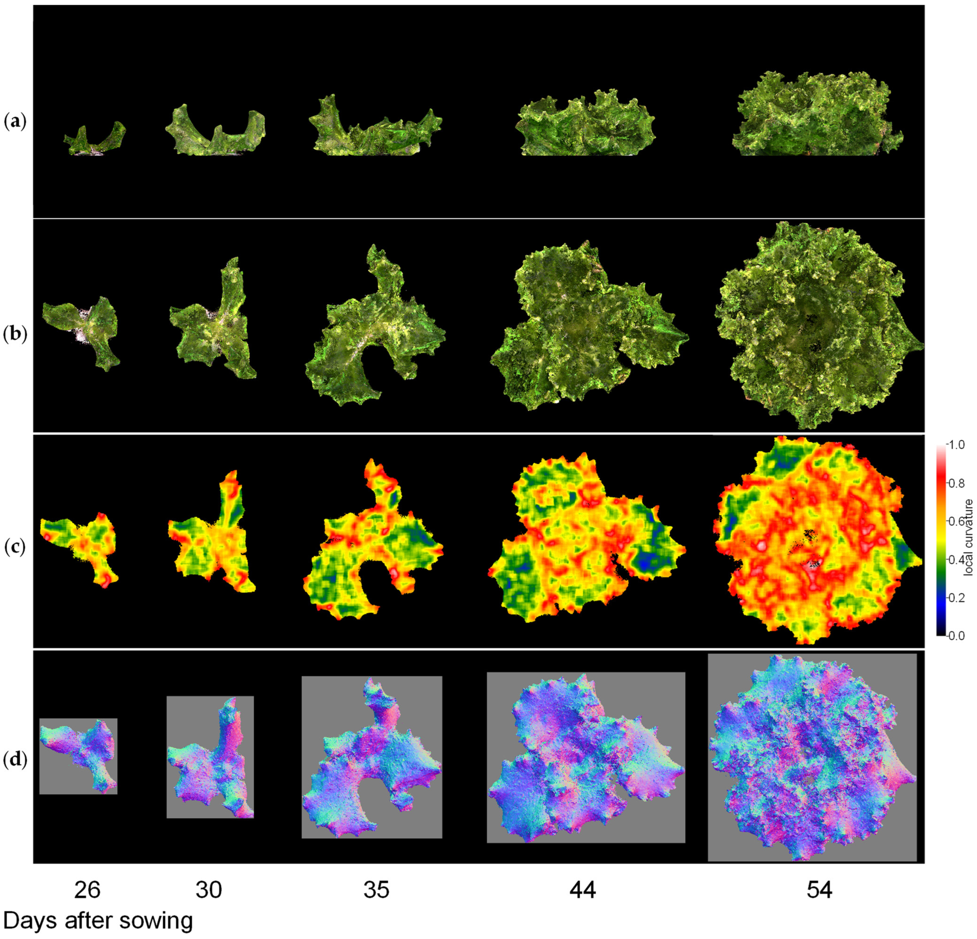 Sensors 23 06825 g009 Sensors 23 06825 g009