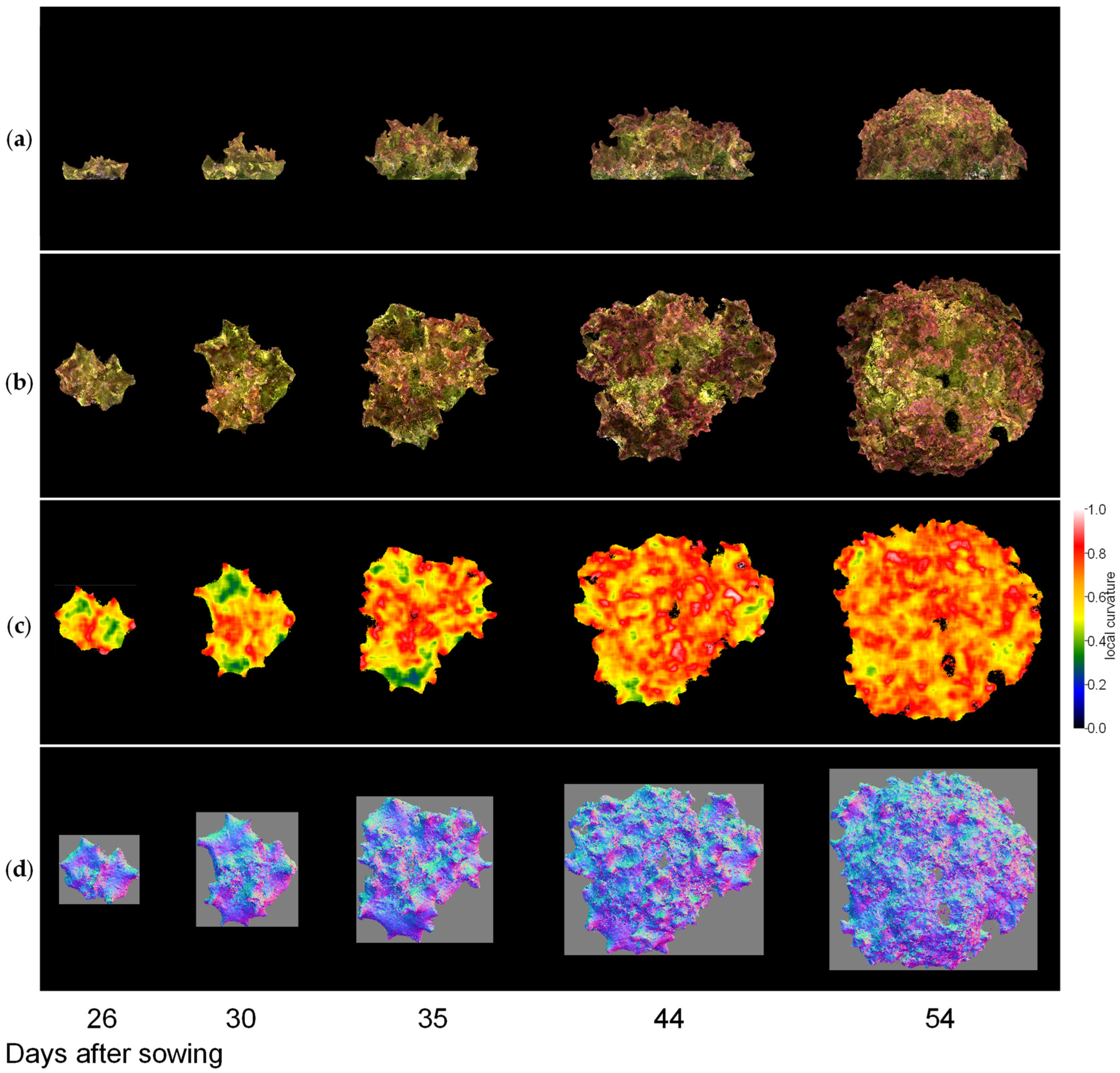 Sensors 23 06825 g011 Sensors 23 06825 g011