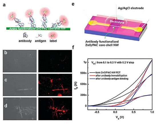 Epidermal growth factor receptor mutation in combination