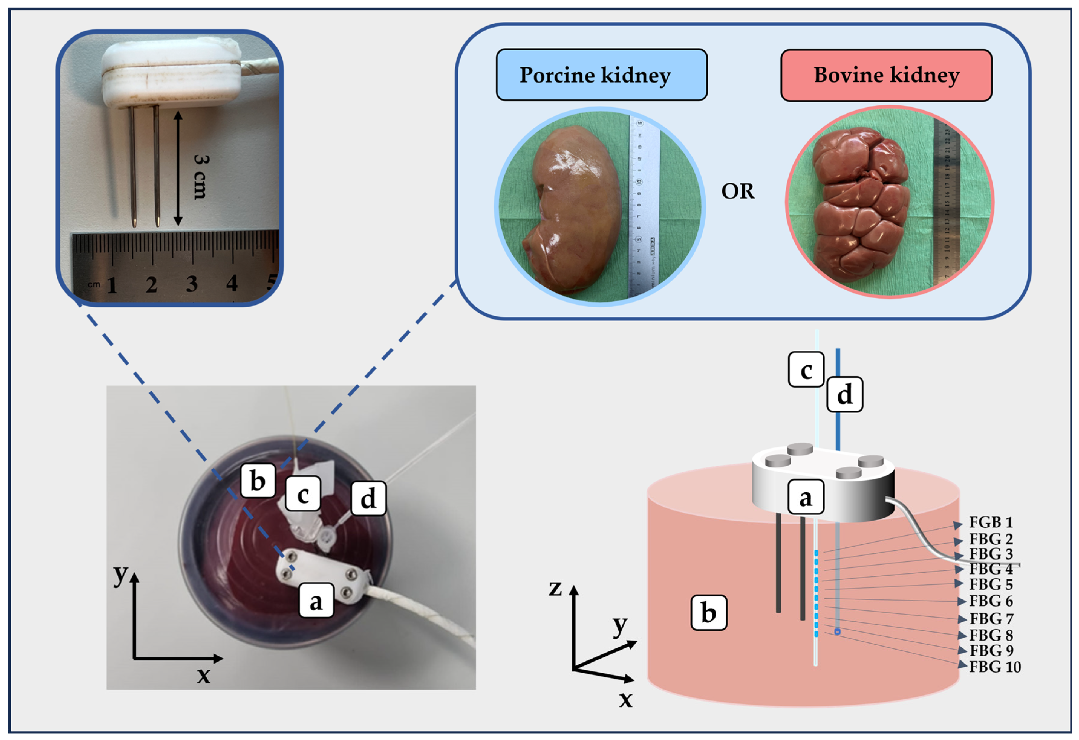 Sensors 23 06865 g003