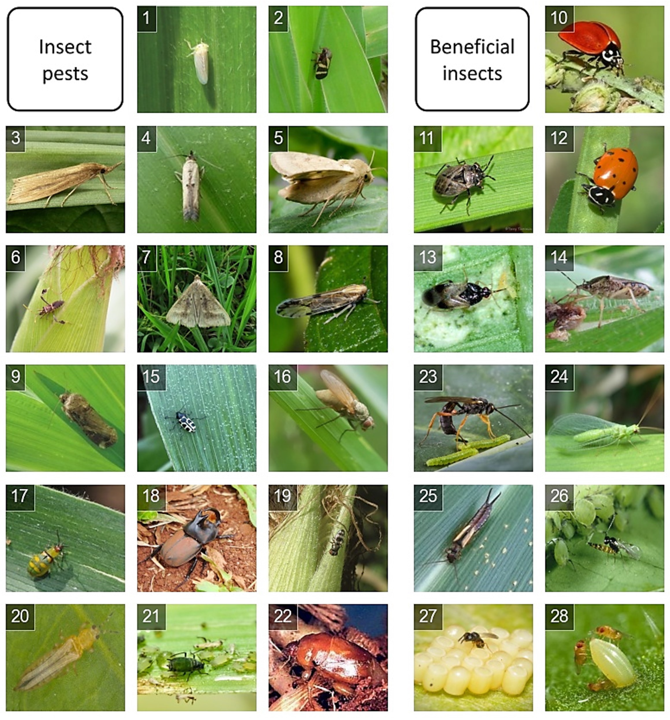 Sensors 23 06880 g001 550