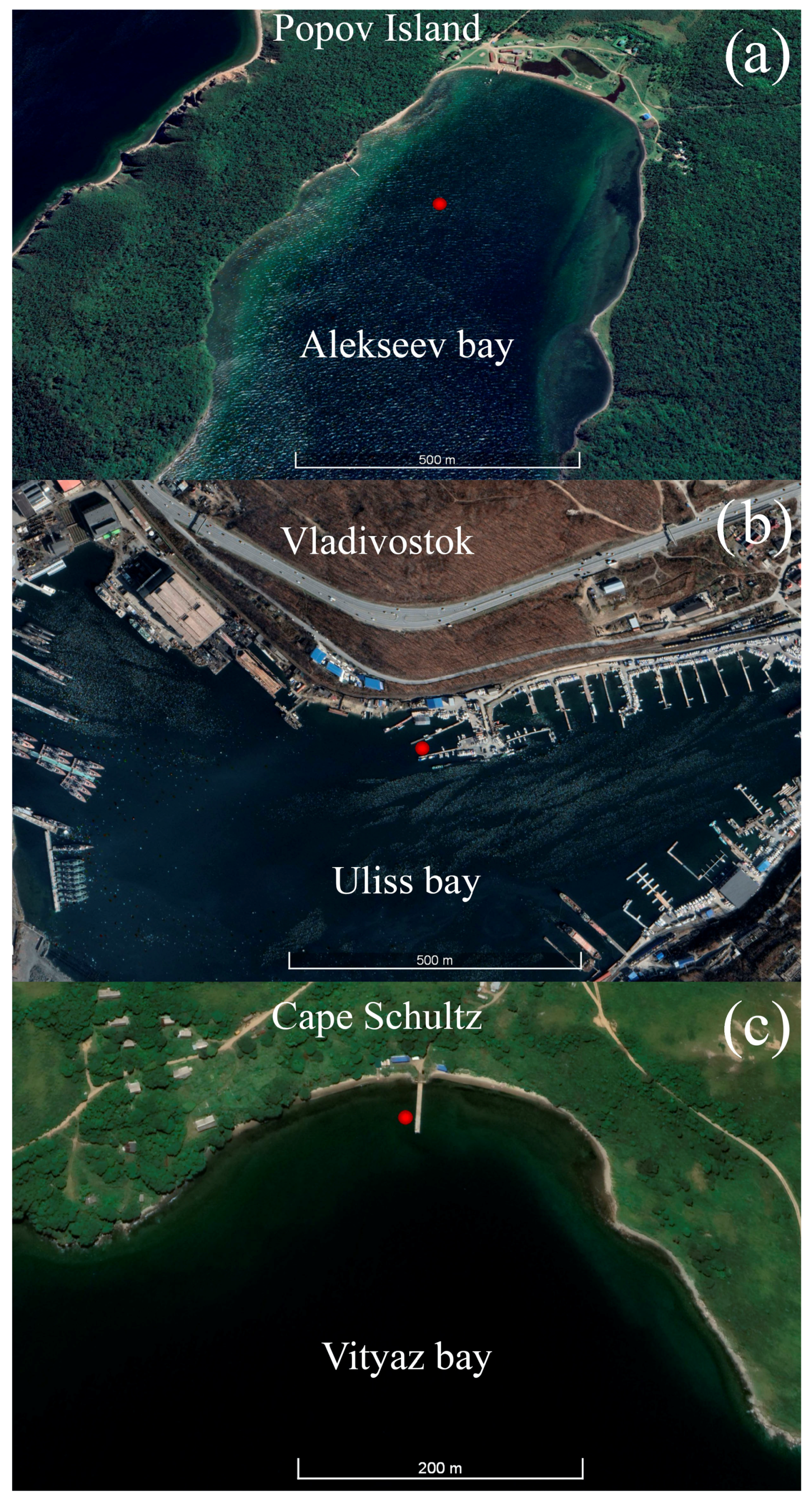 Sensors 23 06915 g001