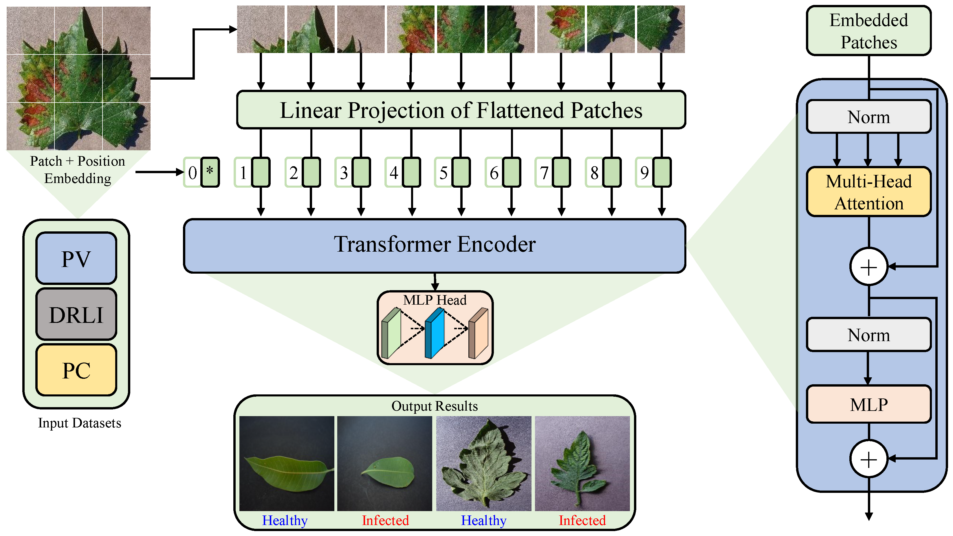 Visual Intelligence in Precision Agriculture: Exploring Plant Disease ...