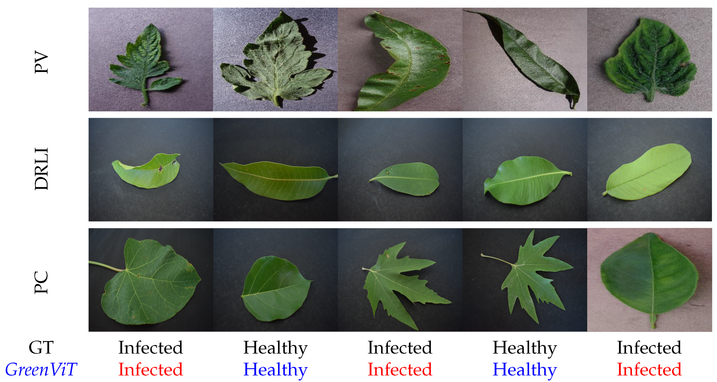 Sensors 23 06949 g004 Sensors 23 06949 g004