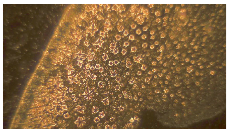 Sensors 23 07010 g007 550